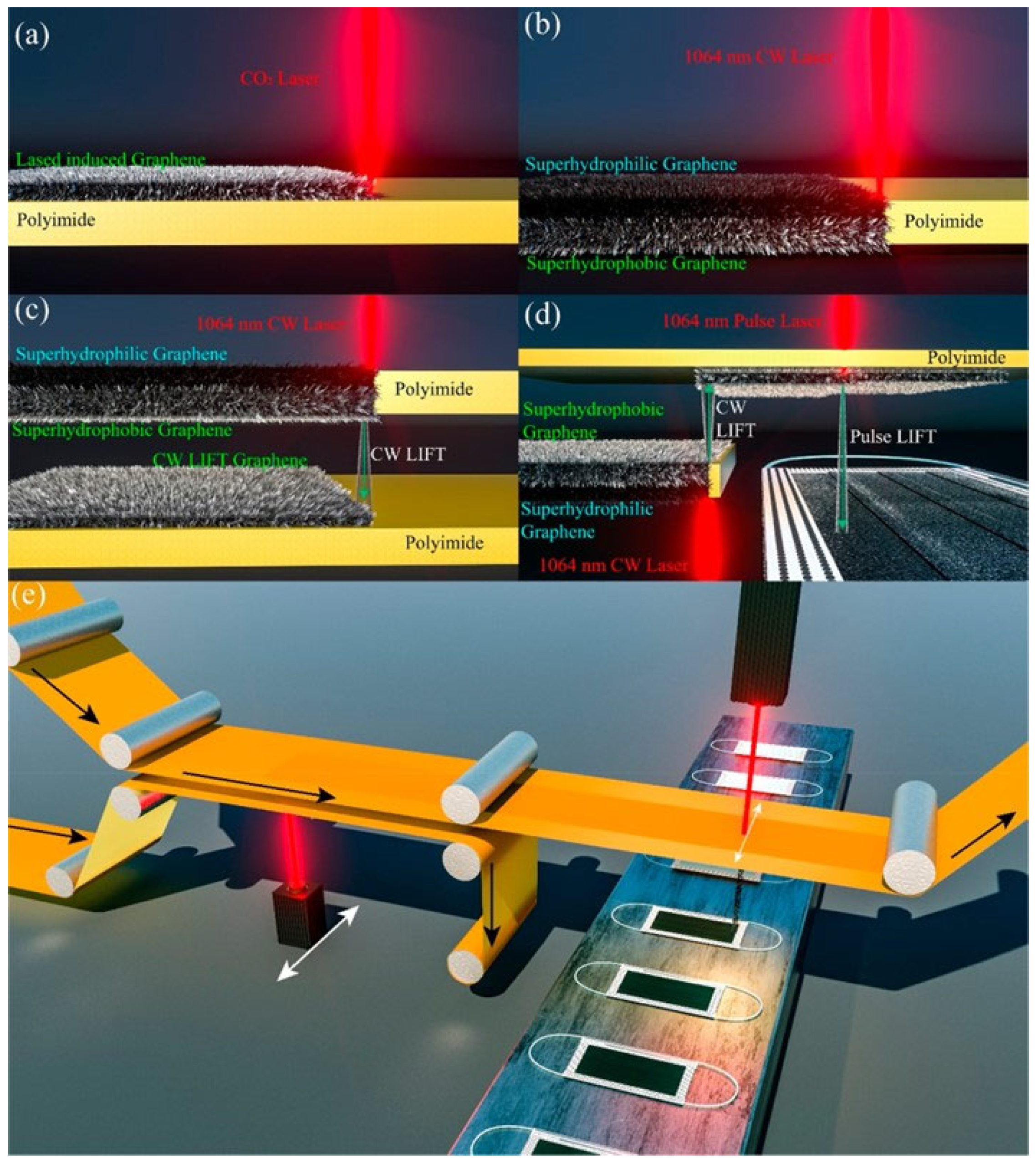 Microorganisms 11 00310 g008