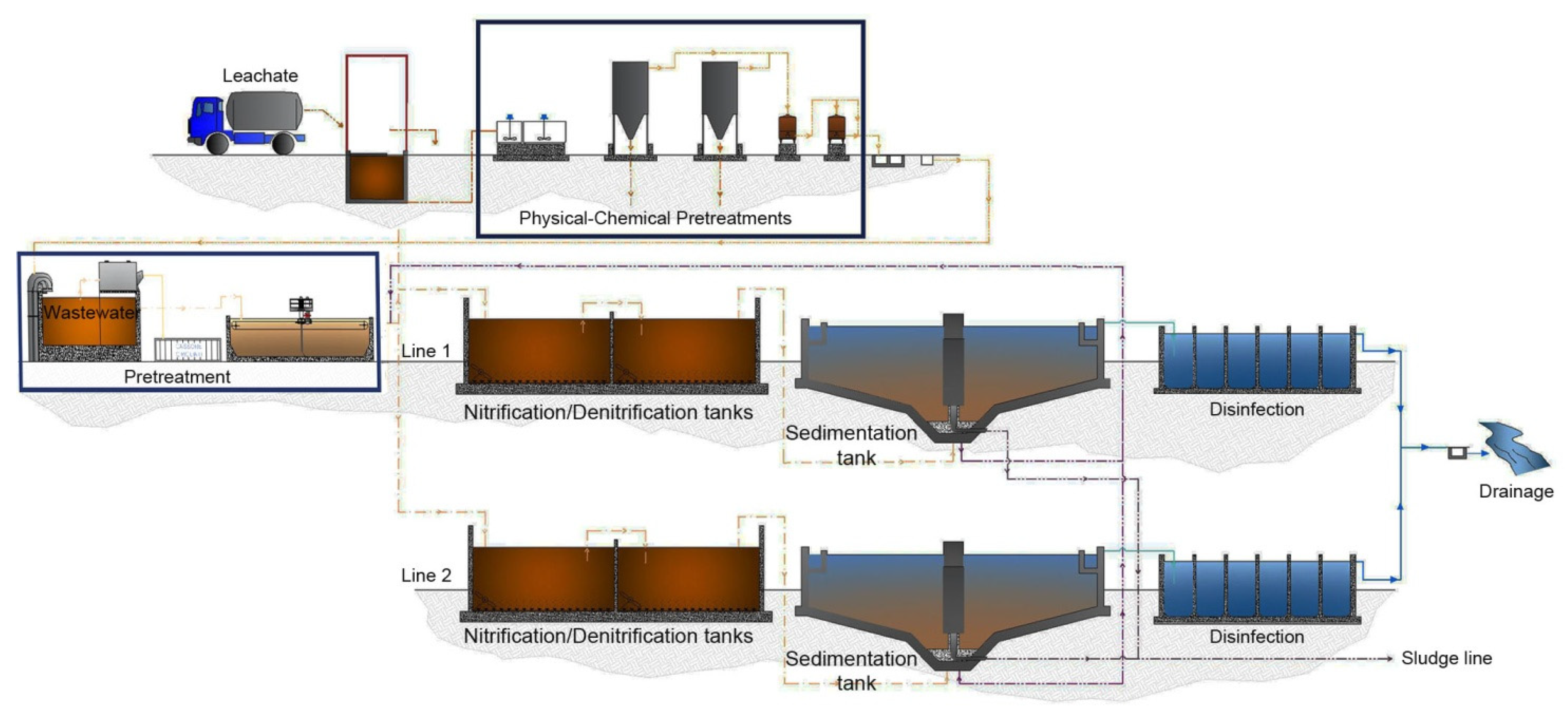 Microorganisms 11 00311 g001