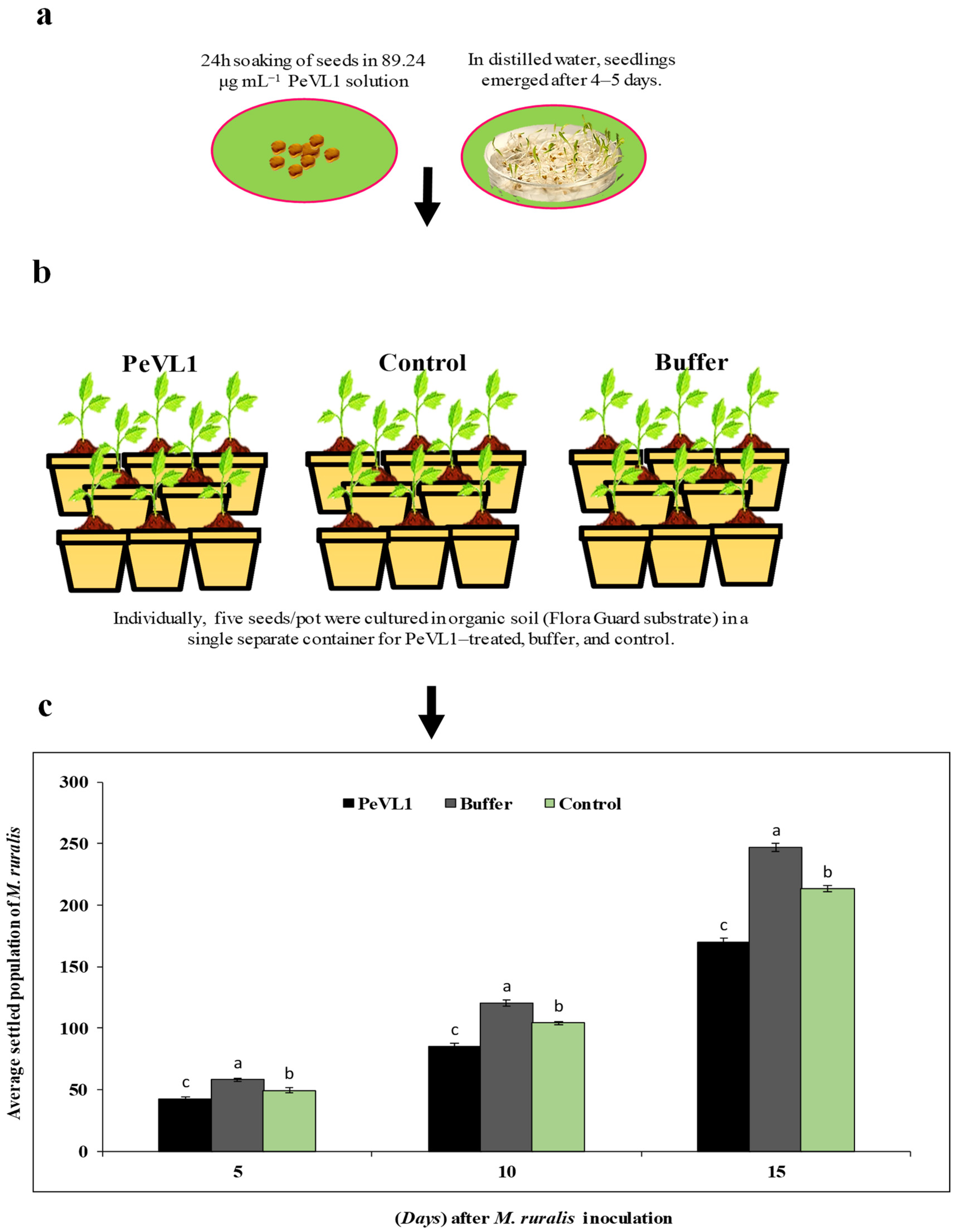Microorganisms 11 00317 g001