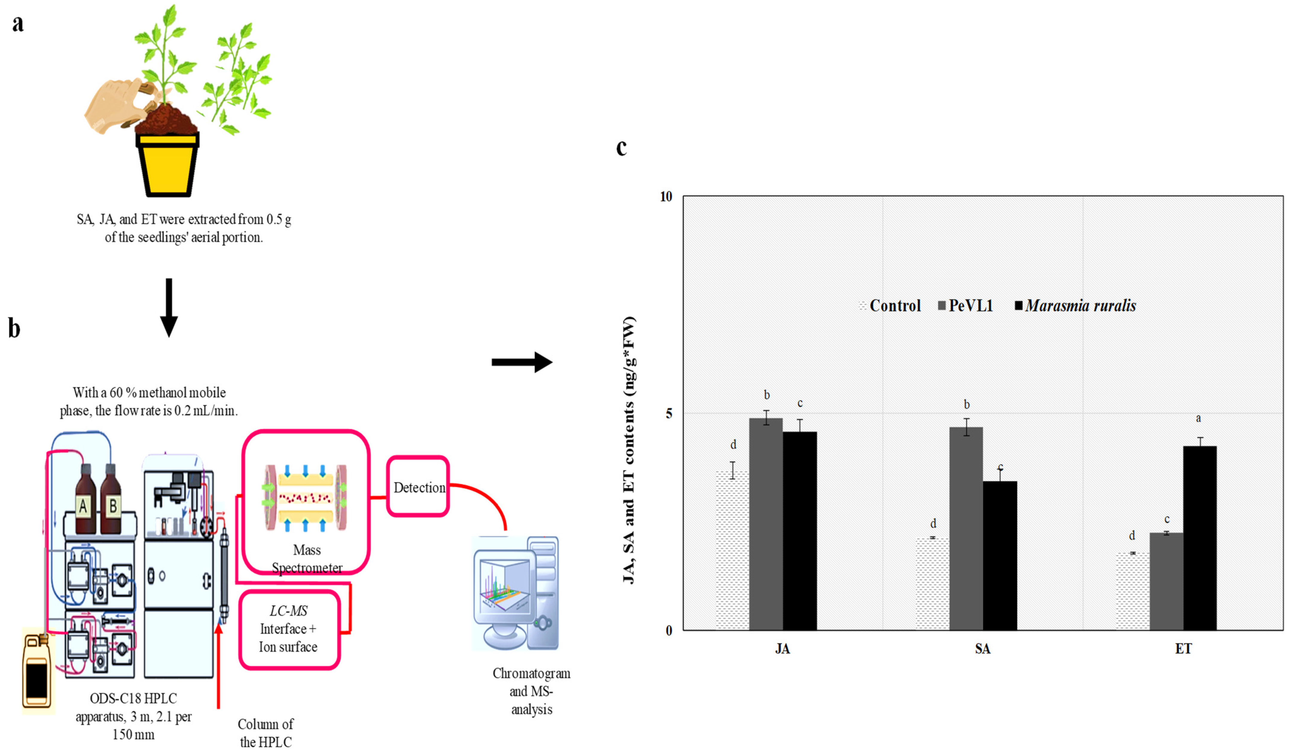 Microorganisms 11 00317 g006