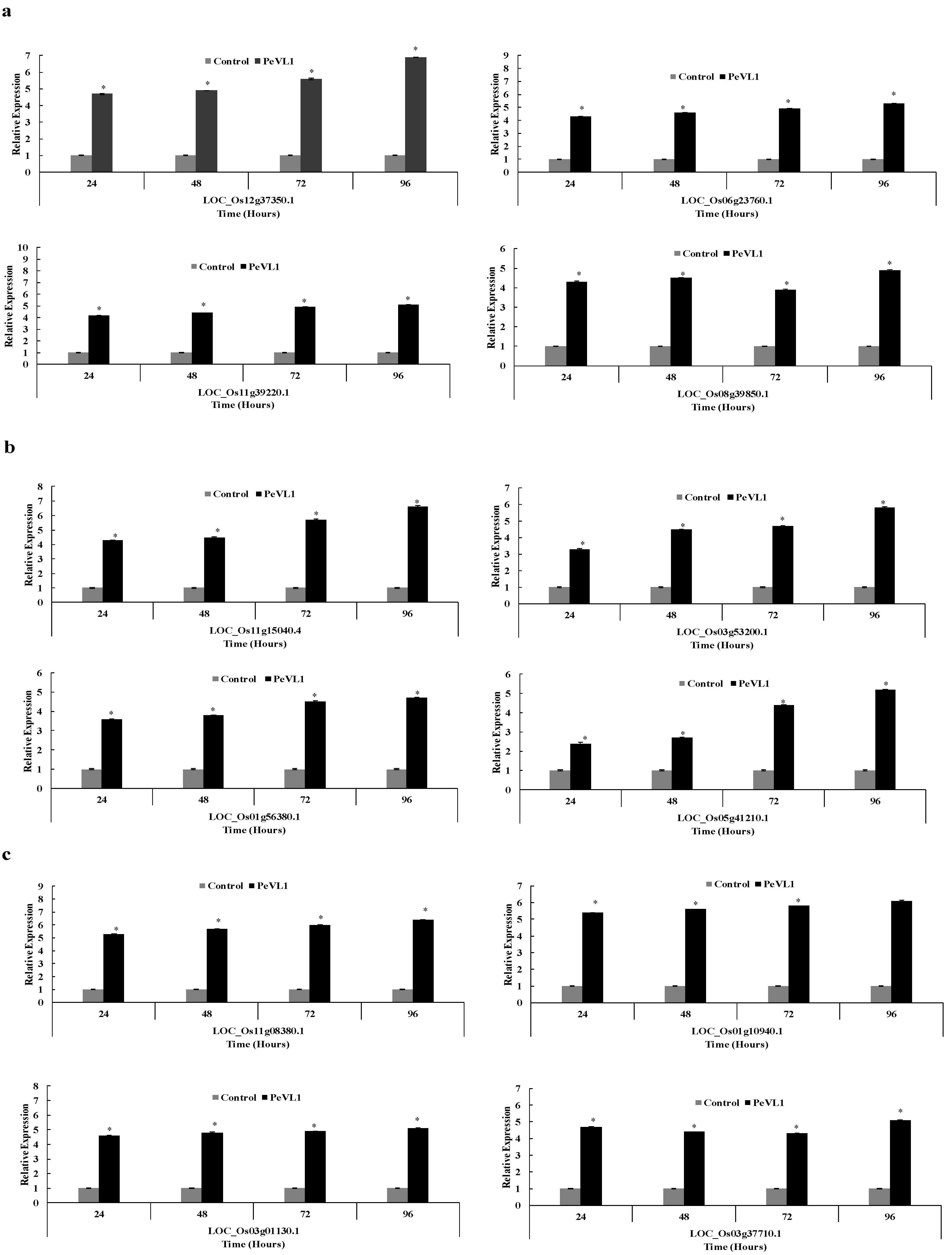 Microorganisms 11 00317 g007