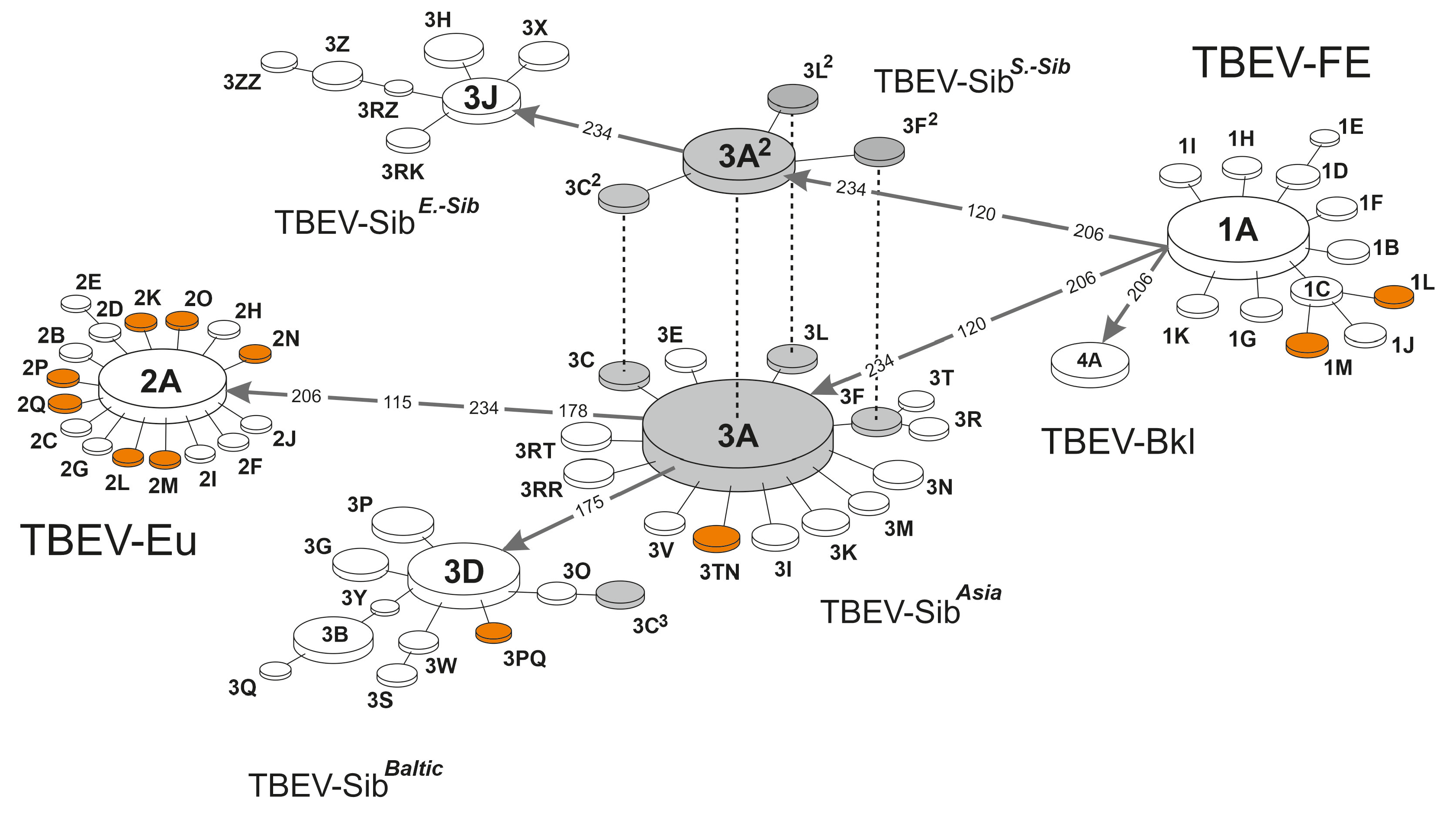 Microorganisms 11 00324 g002