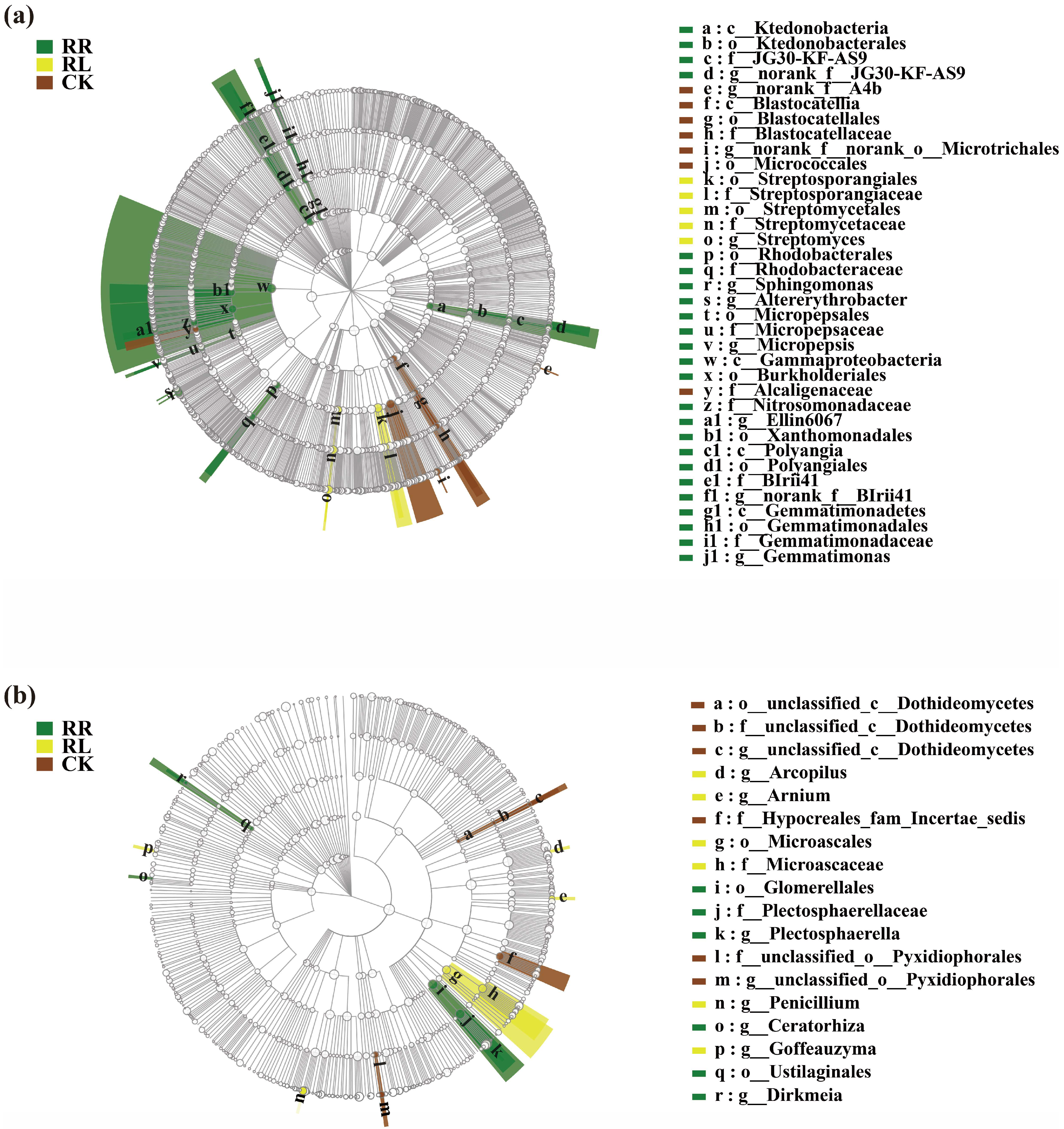 Microorganisms 11 00326 g006