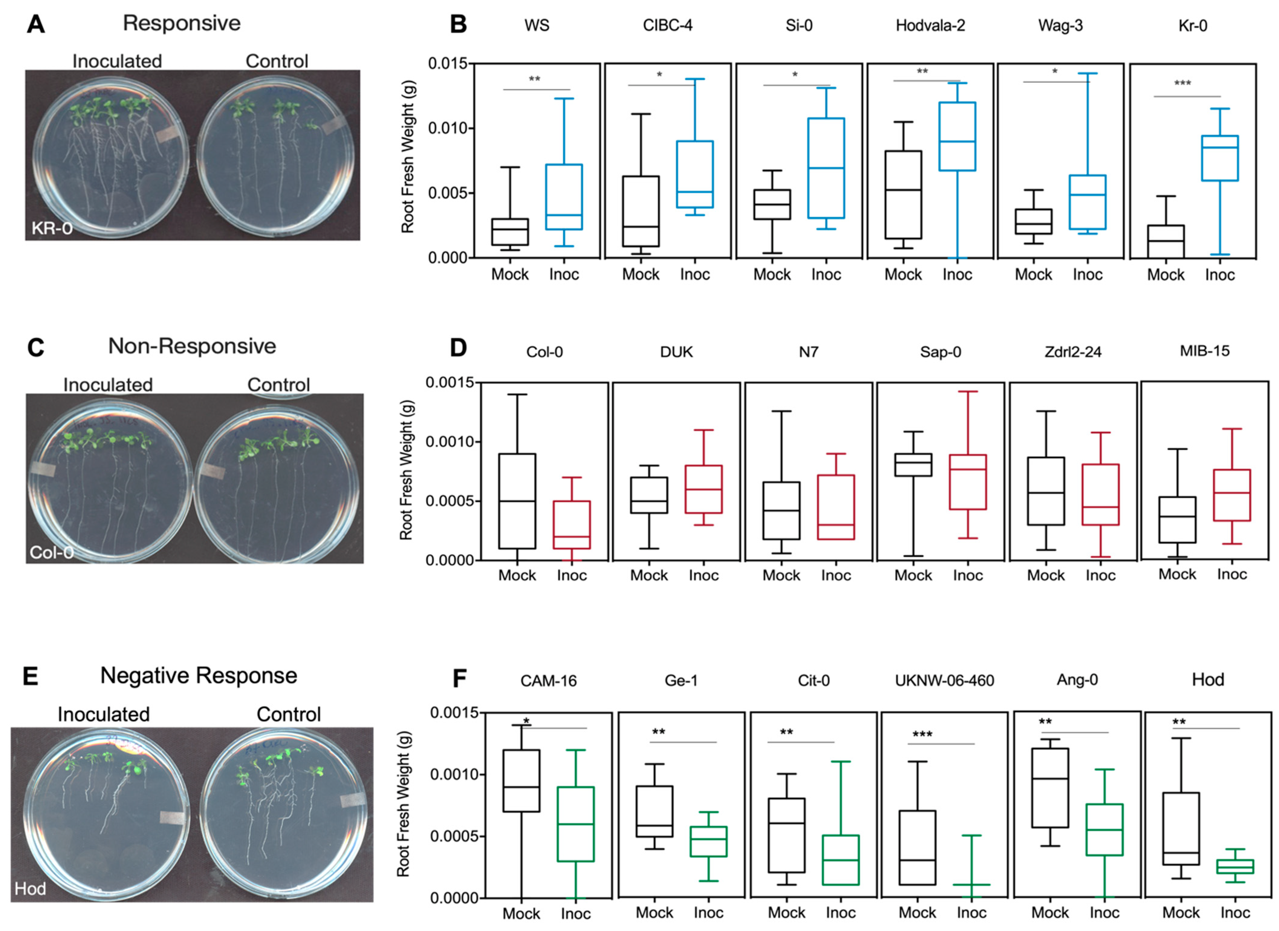 Microorganisms 11 00331 g003