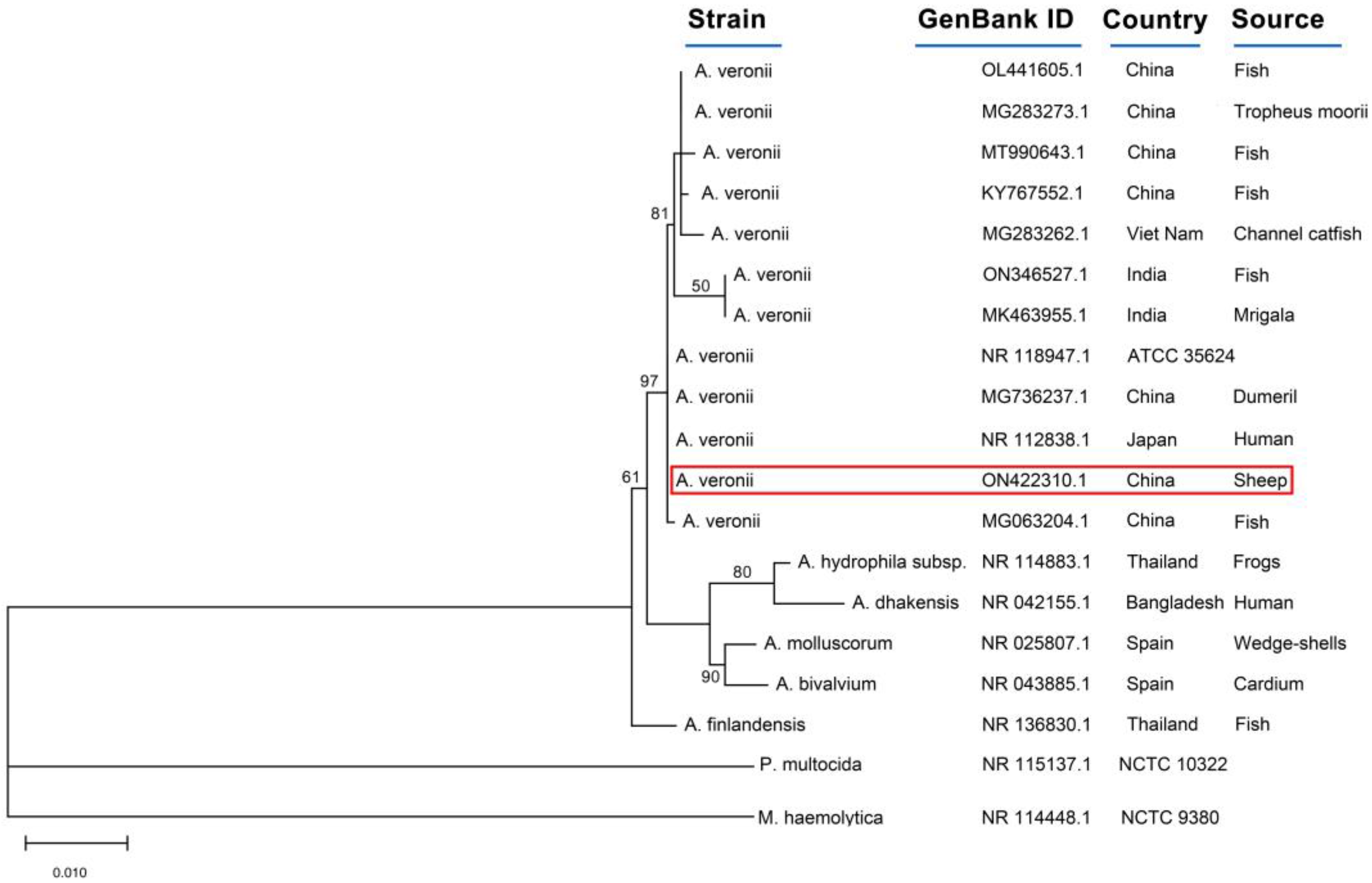 Microorganisms 11 00333 g004