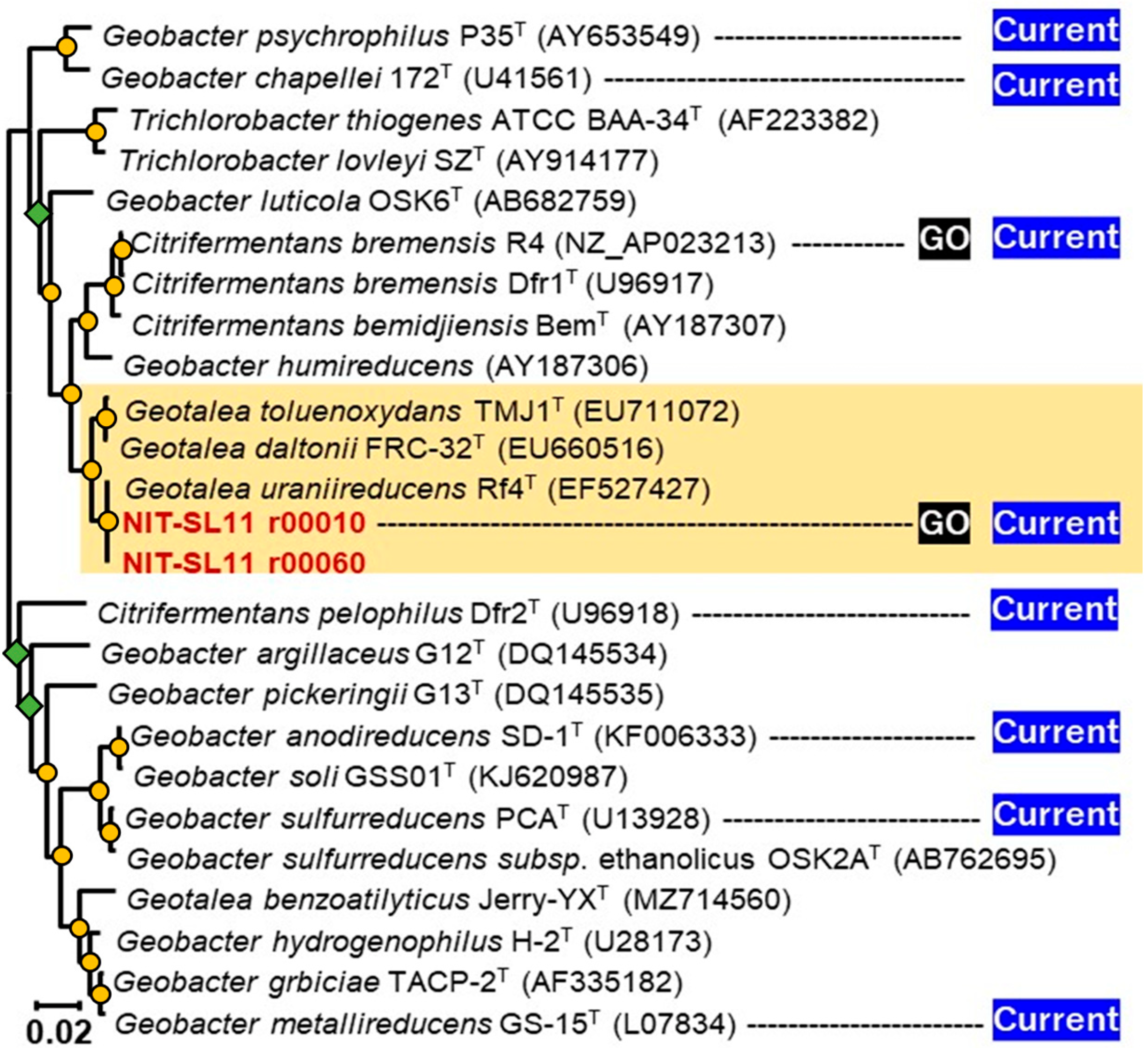 Microorganisms 11 00349 g002