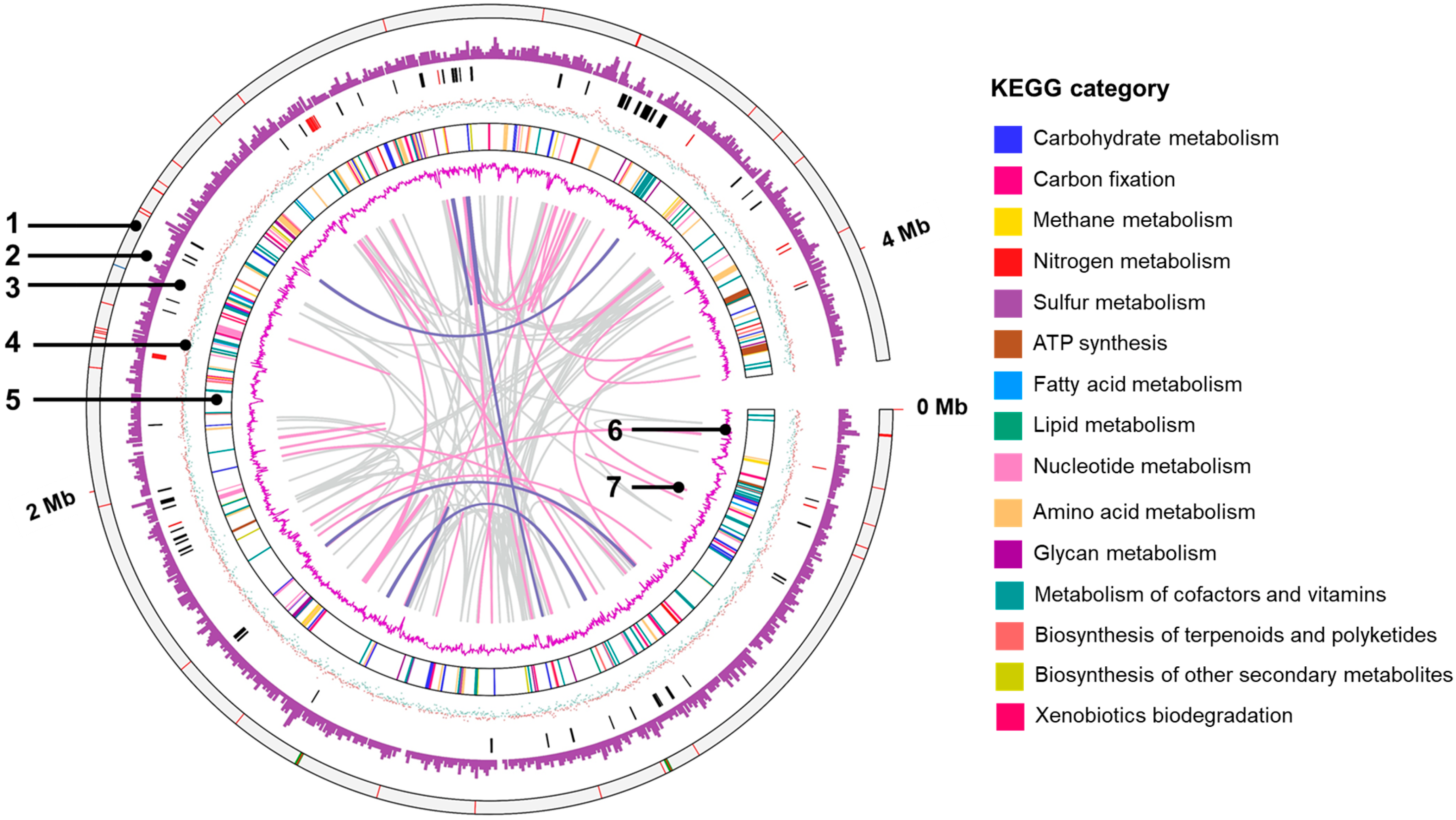 Microorganisms 11 00349 g003