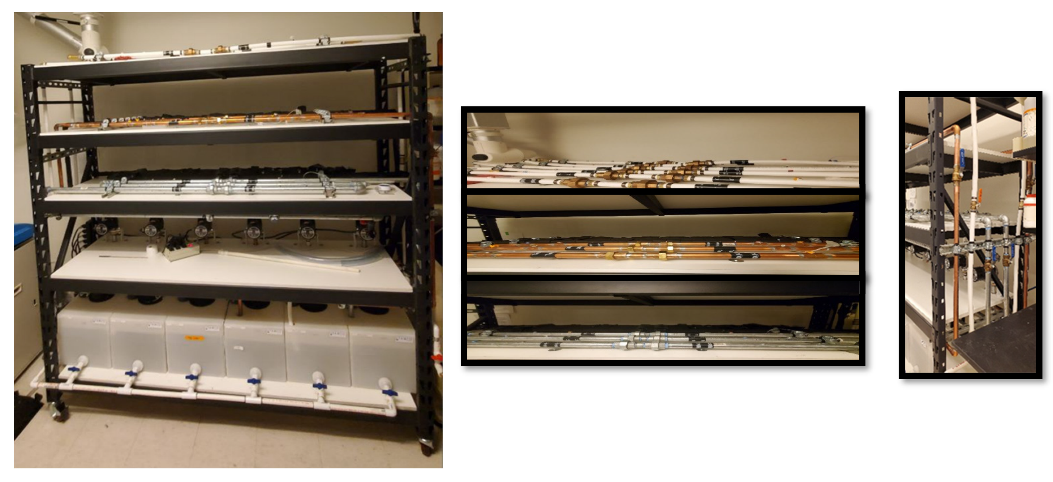 Microorganisms 11 00352 g001