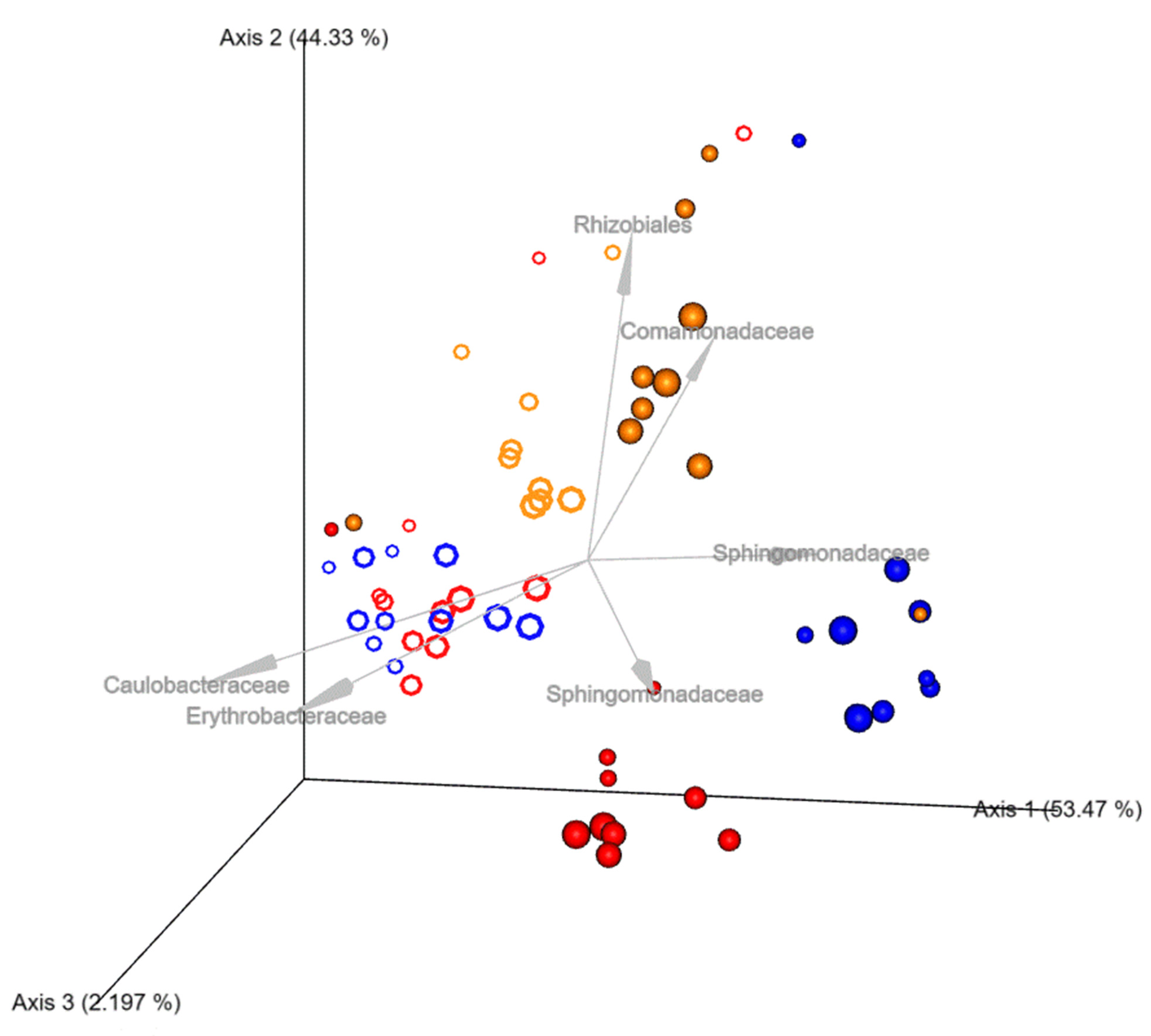 Microorganisms 11 00352 g007