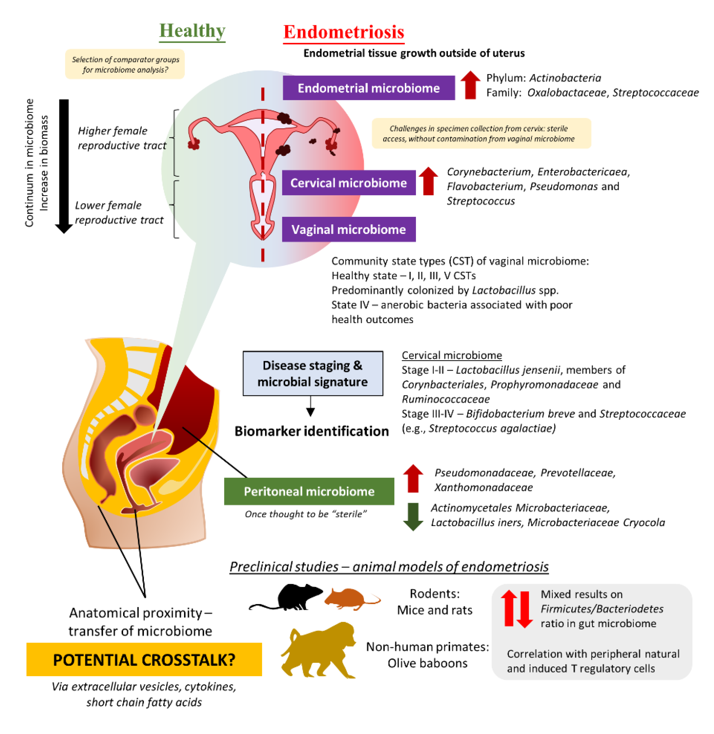 Microorganisms 11 00360 g001