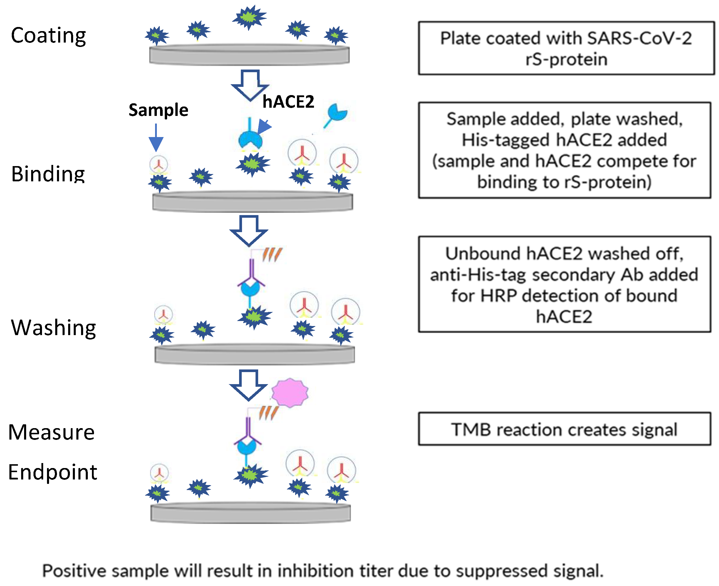 Microorganisms 11 00368 g001