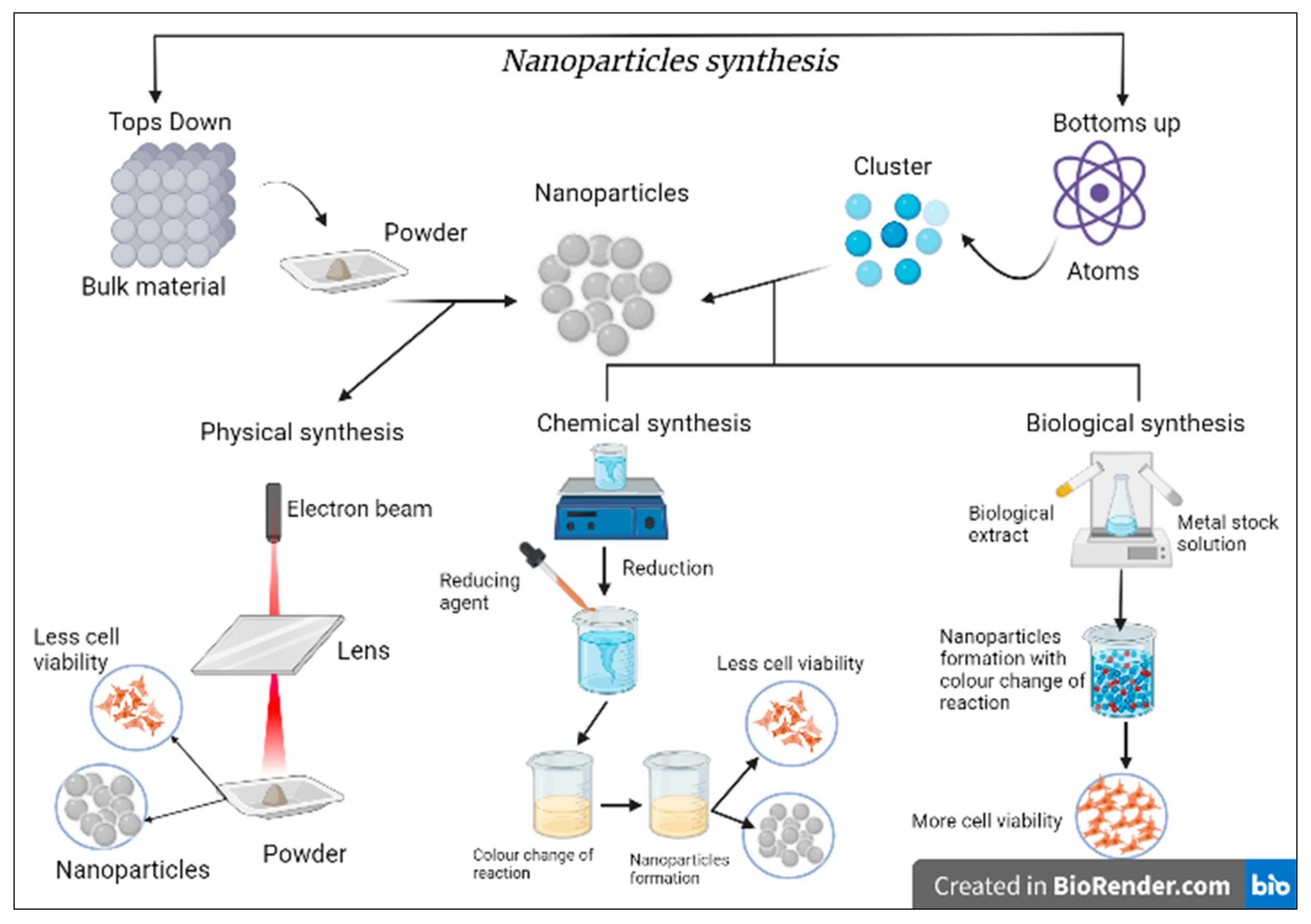 Microorganisms 11 00369 g001
