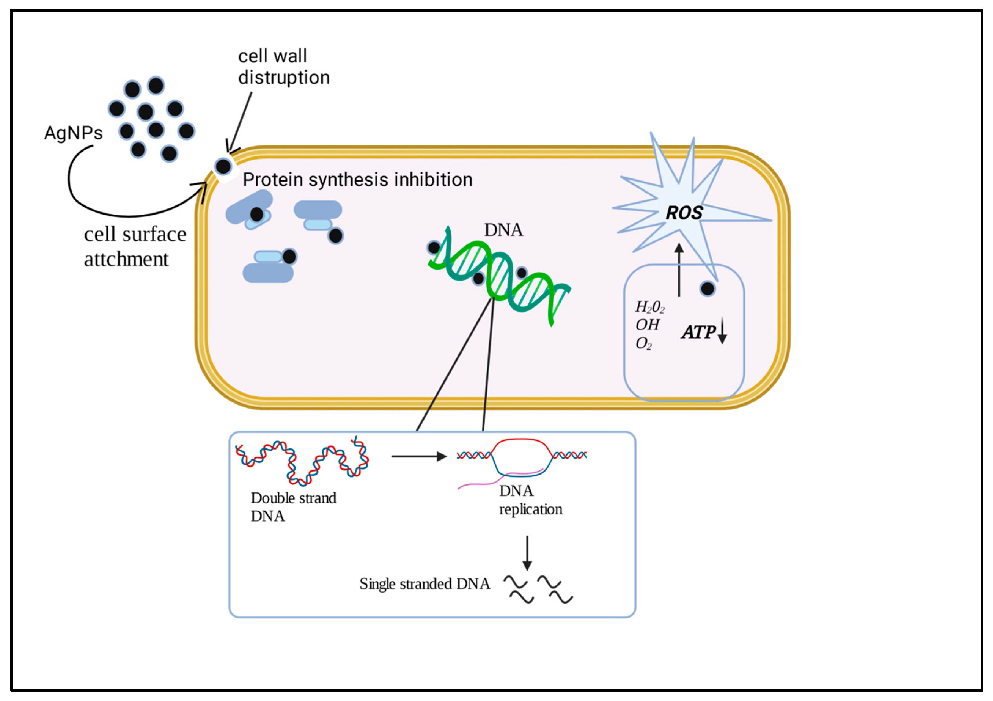 Microorganisms 11 00369 g002