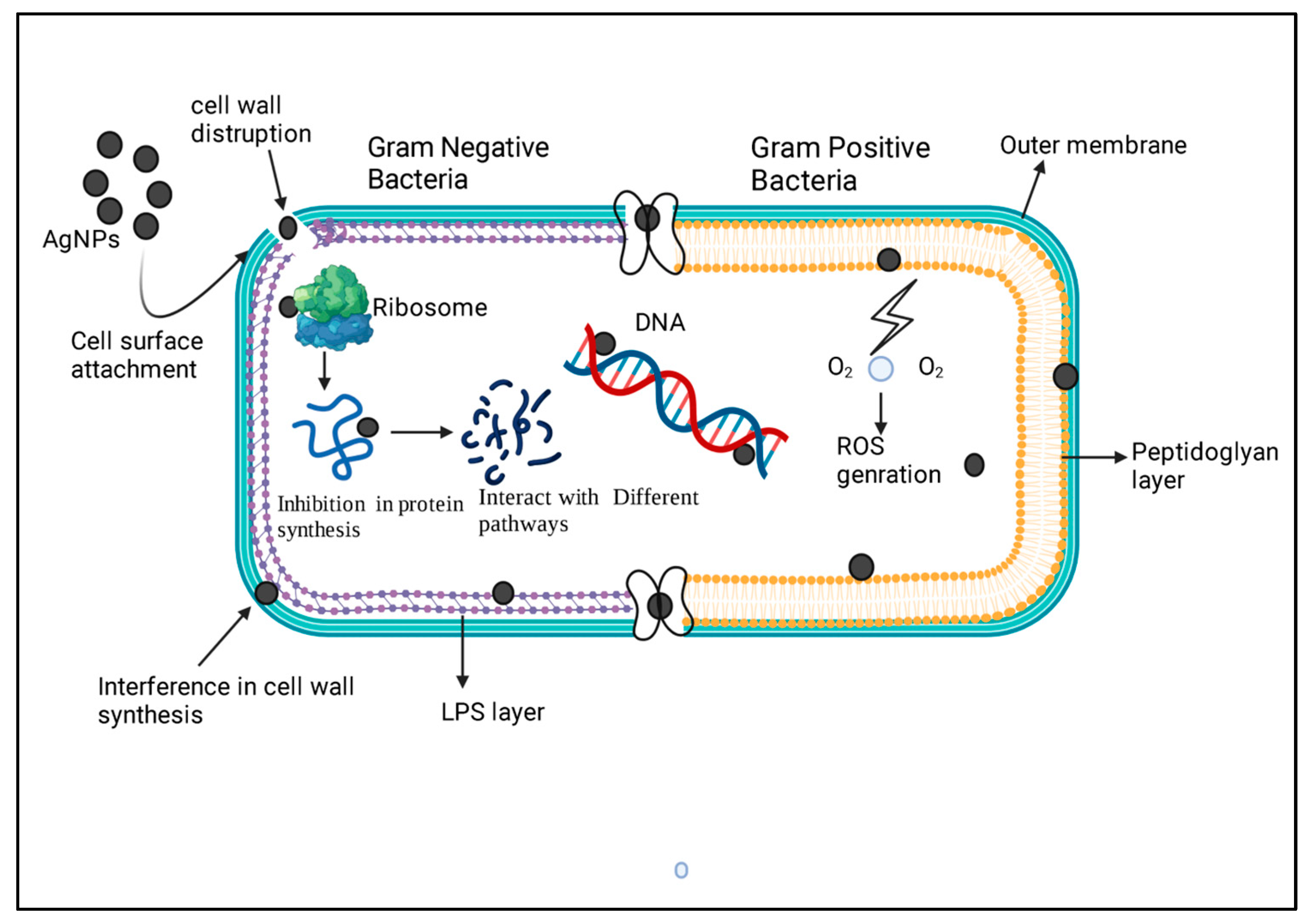 Microorganisms 11 00369 g003