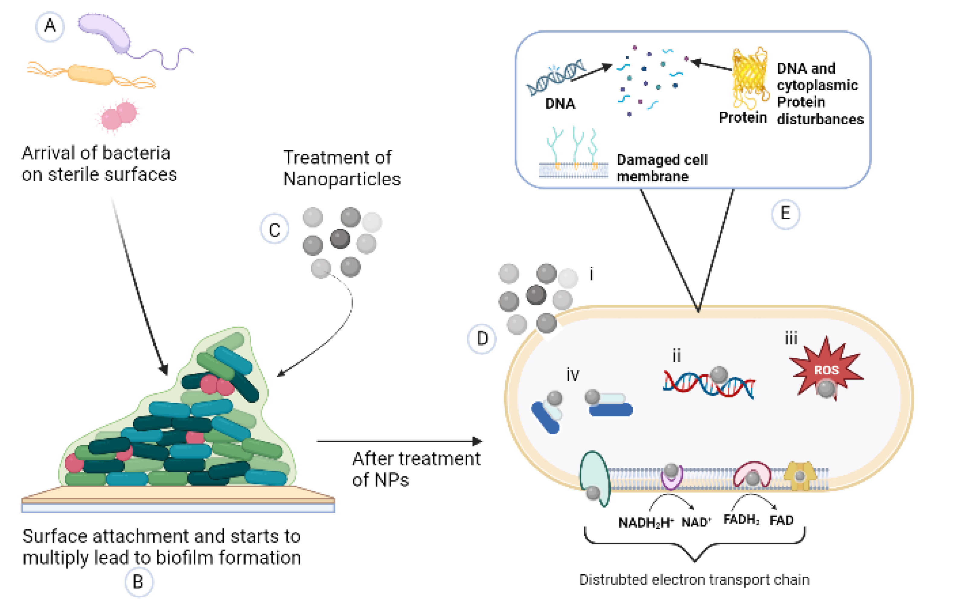 Microorganisms 11 00369 g004