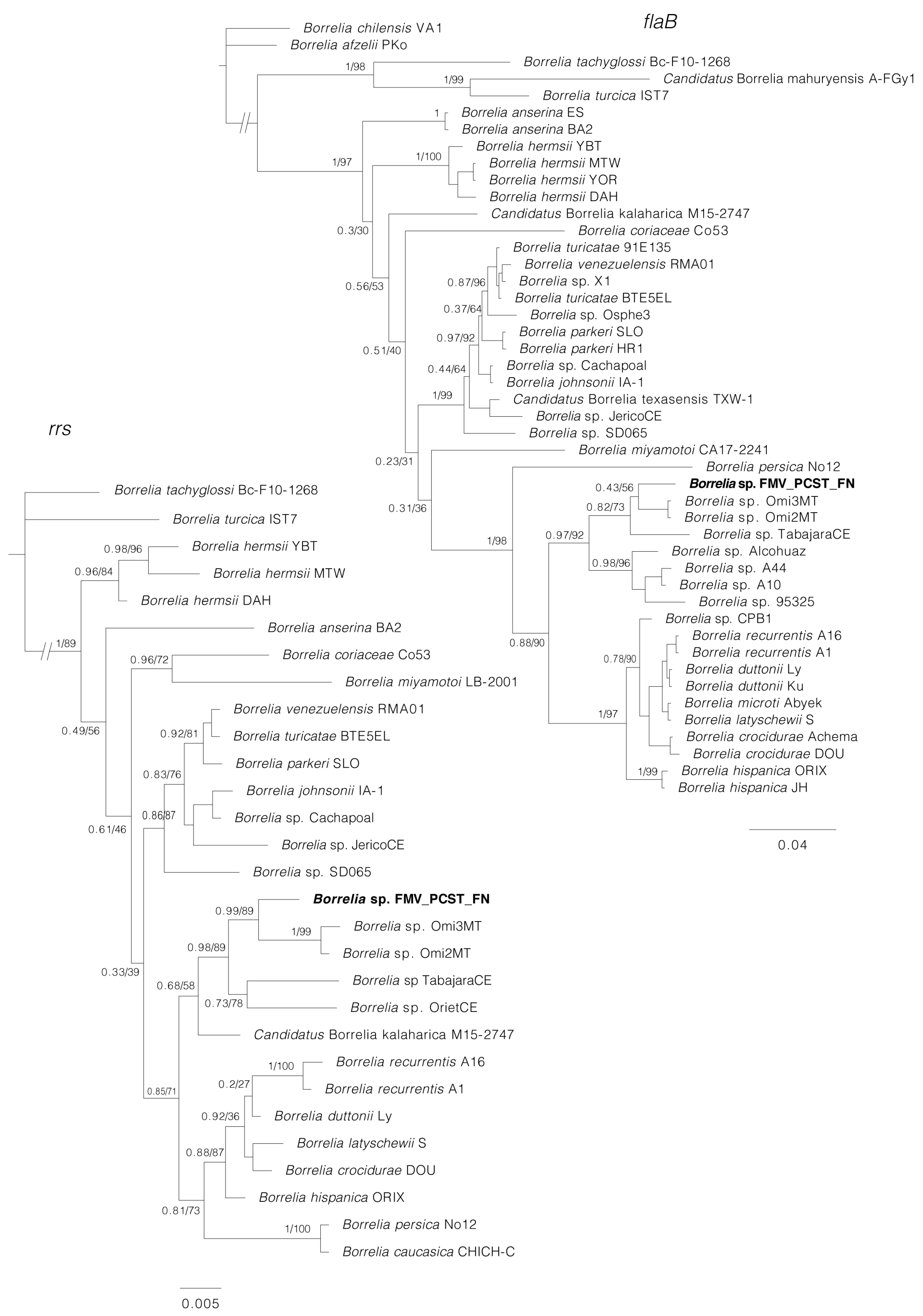 Microorganisms 11 00370 g005