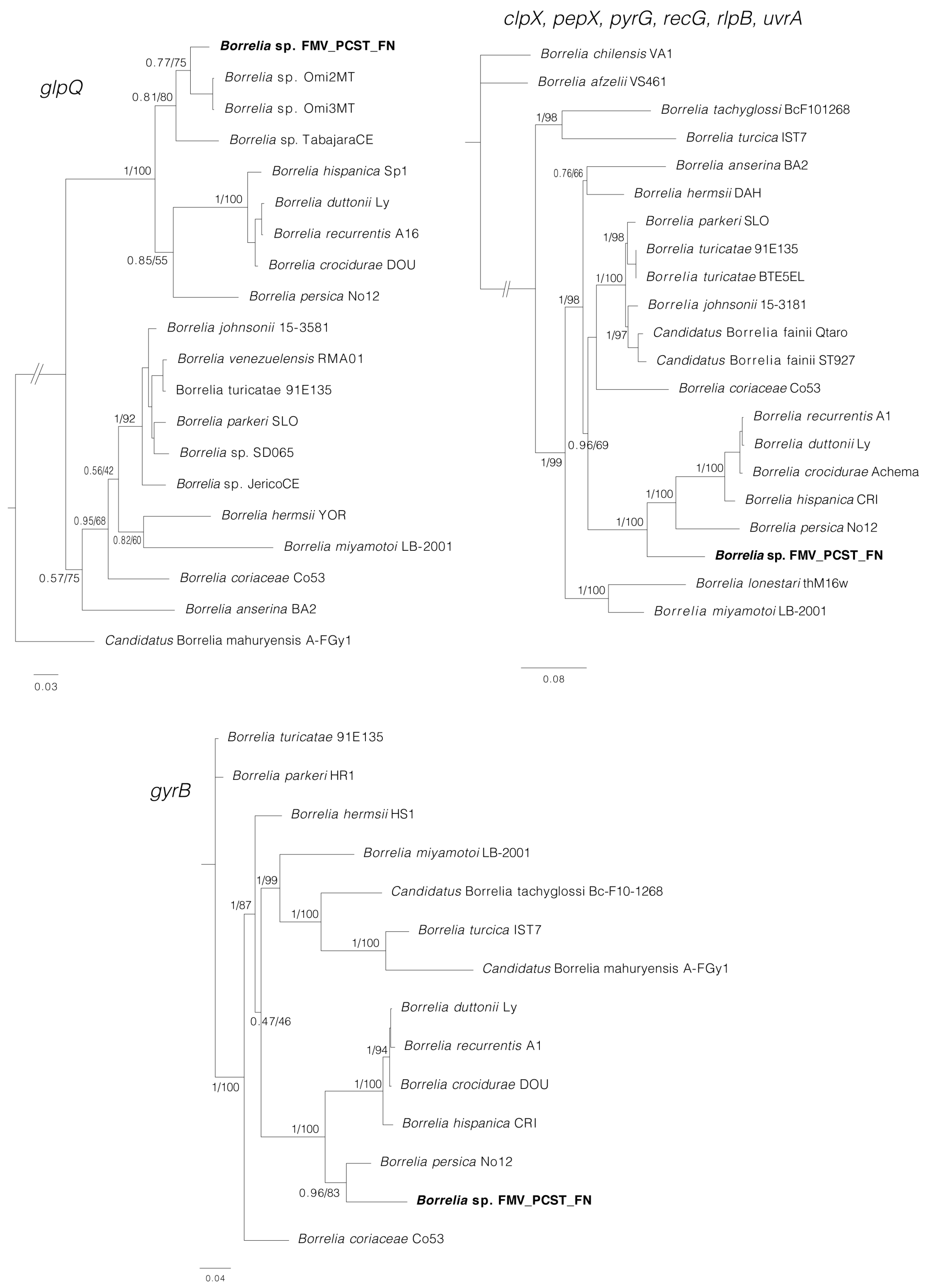 Microorganisms 11 00370 g006
