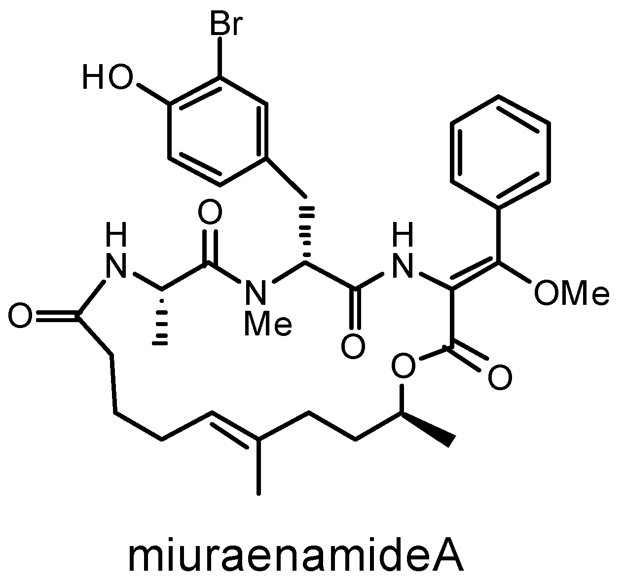 Microorganisms 11 00371 g001