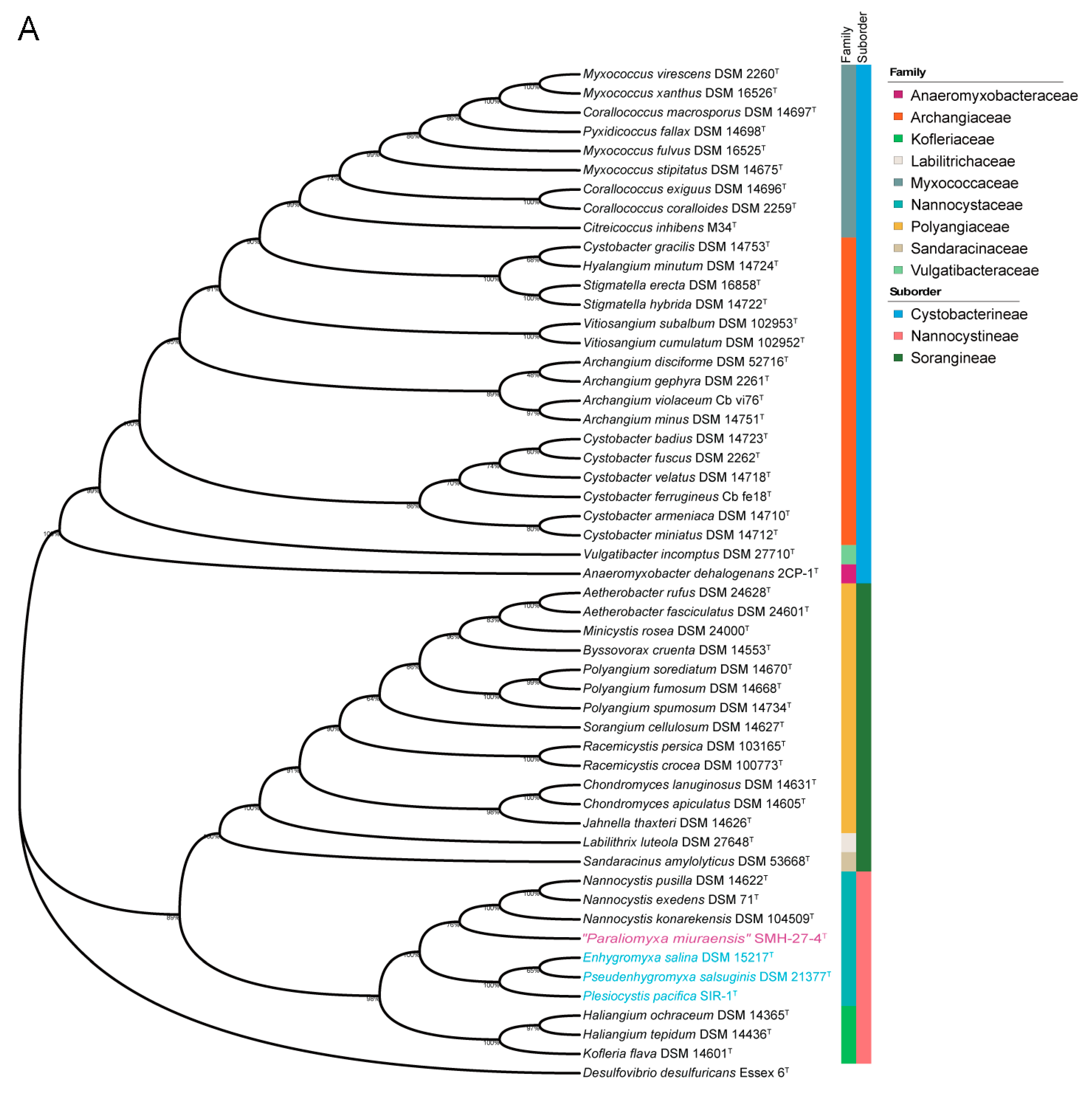 Microorganisms 11 00371 g002a