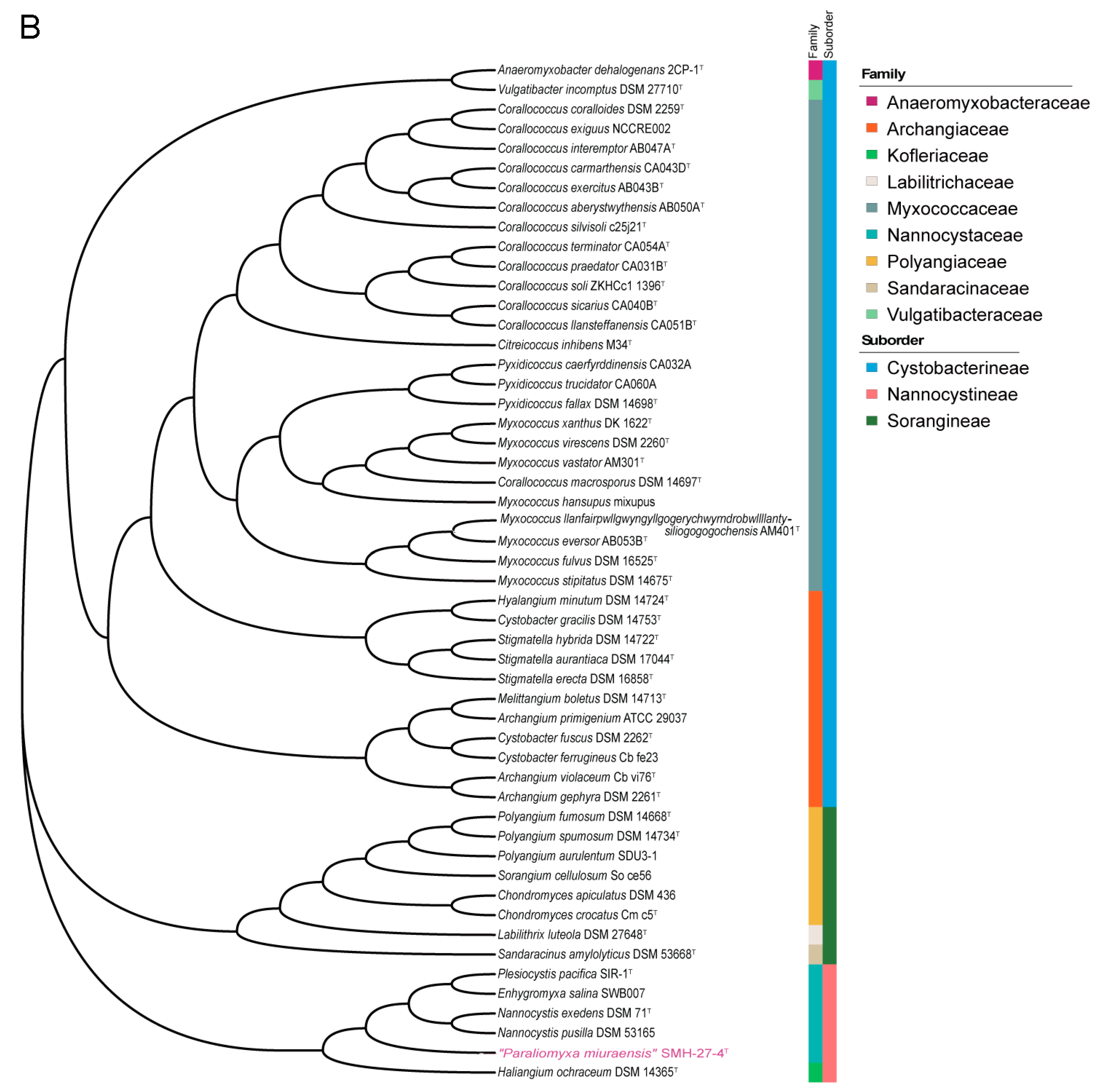 Microorganisms 11 00371 g002b