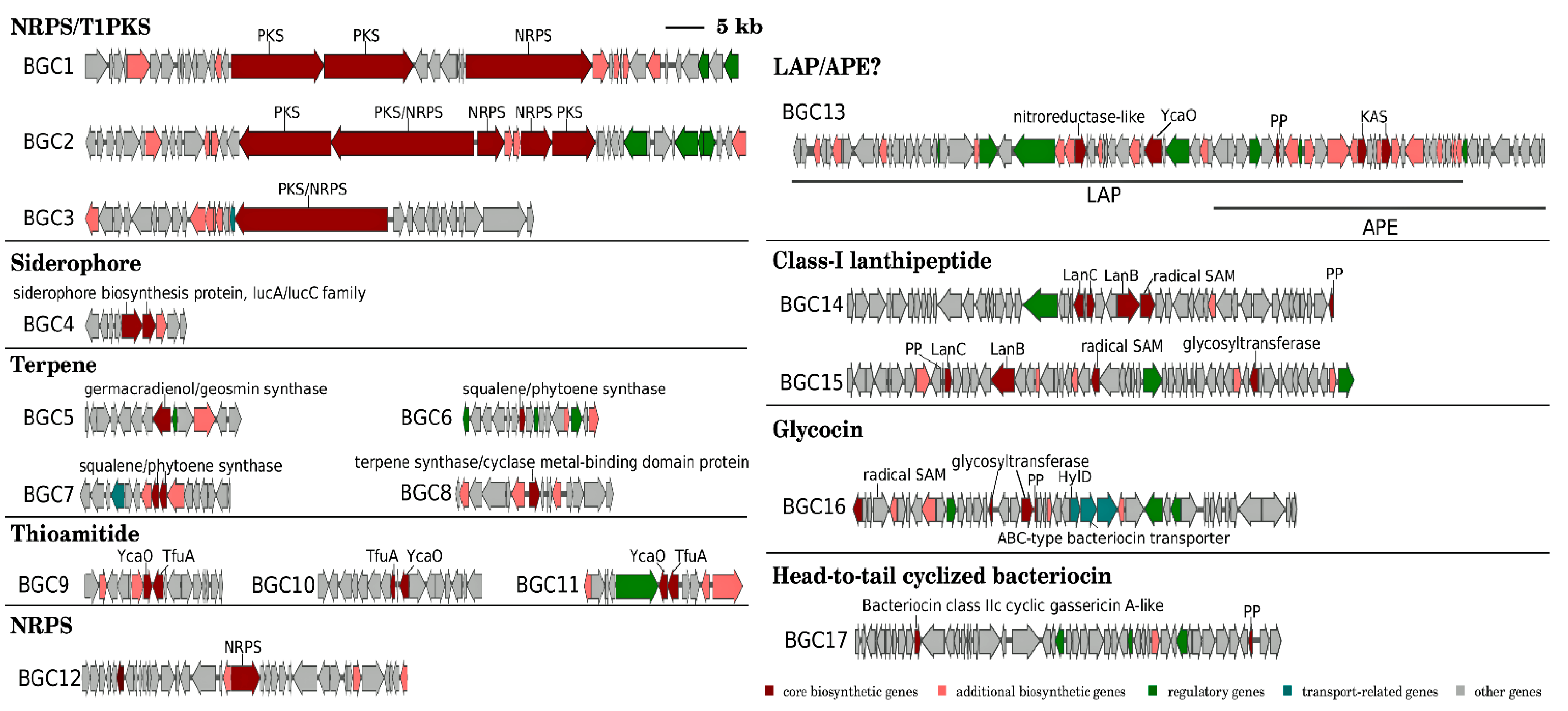 Microorganisms 11 00371 g003