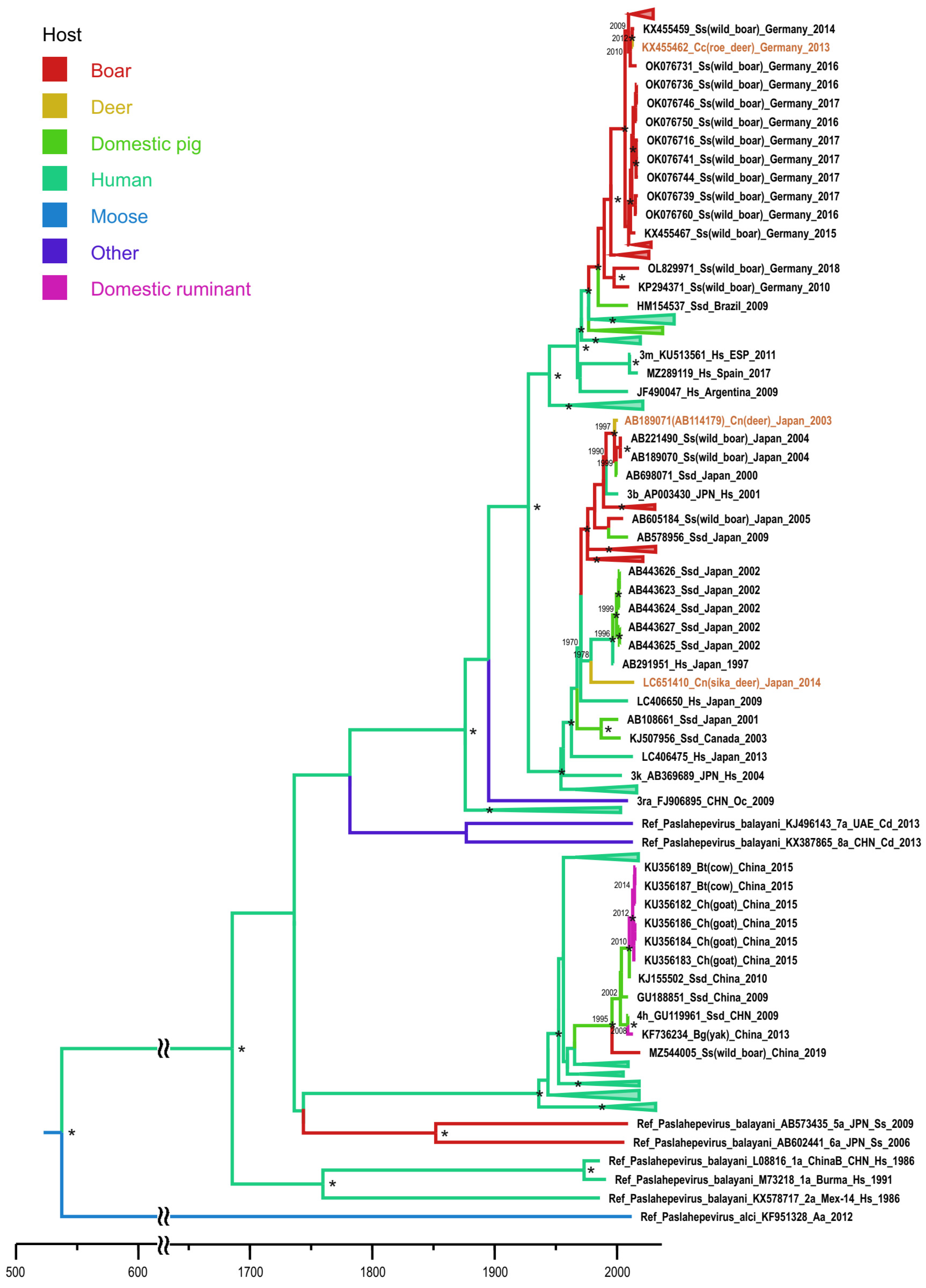Microorganisms 11 00375 g001