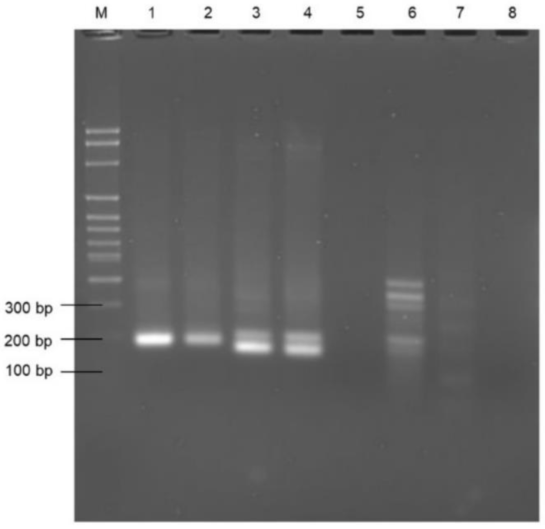 Microorganisms 11 00381 g001 Microorganisms 11 00381 g001