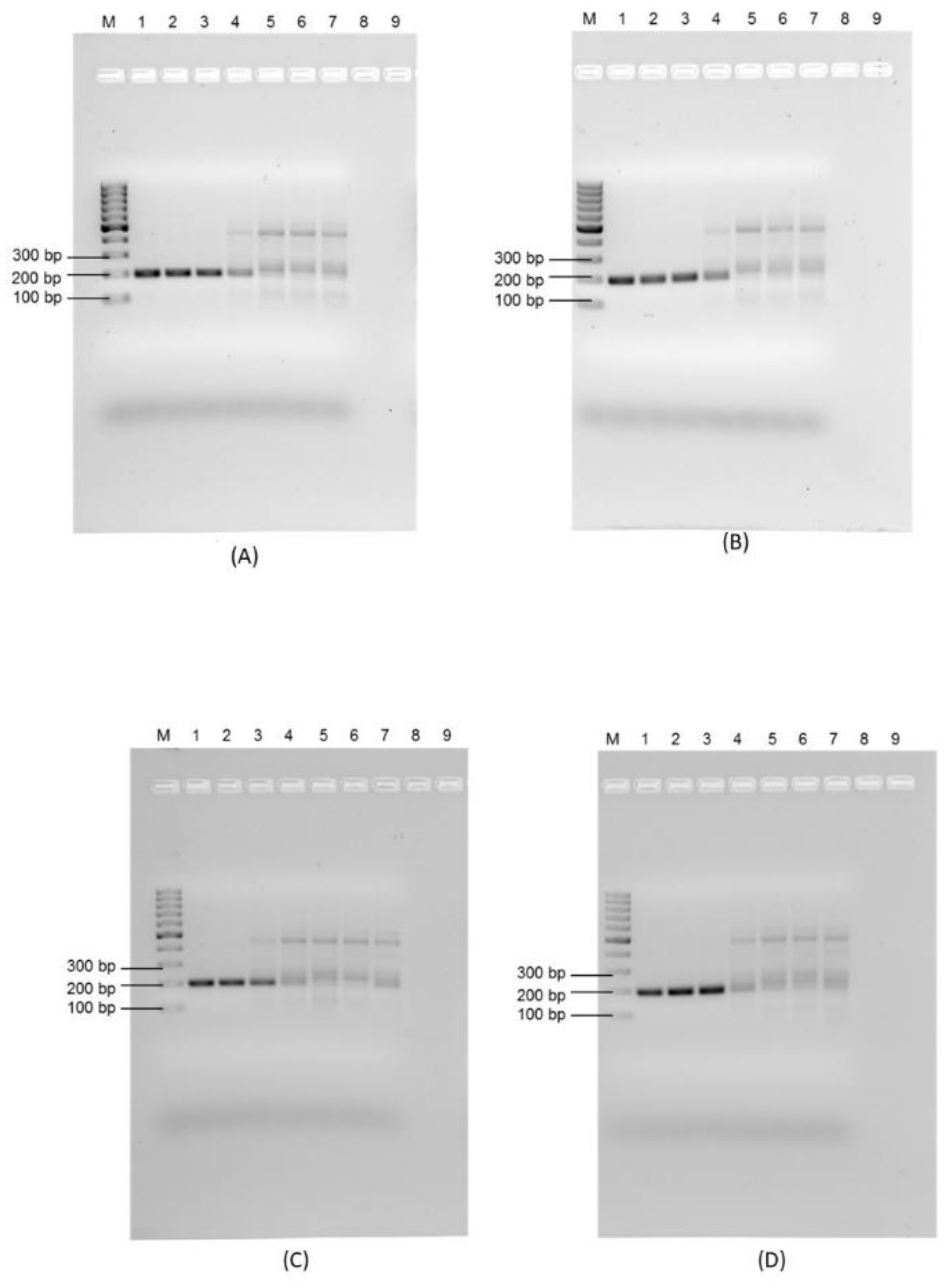 Microorganisms 11 00381 g004 Microorganisms 11 00381 g004