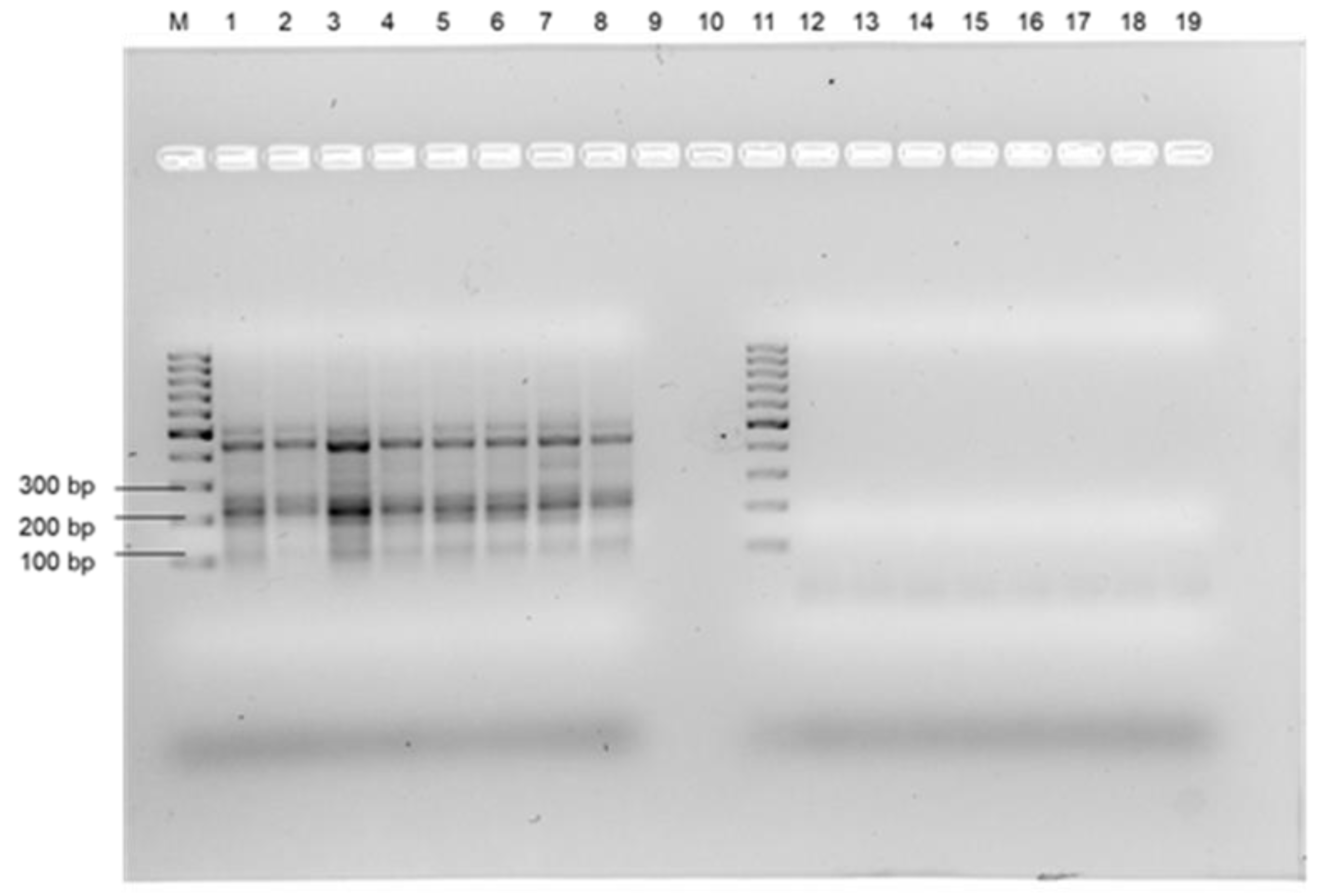 Microorganisms 11 00381 g005 Microorganisms 11 00381 g005