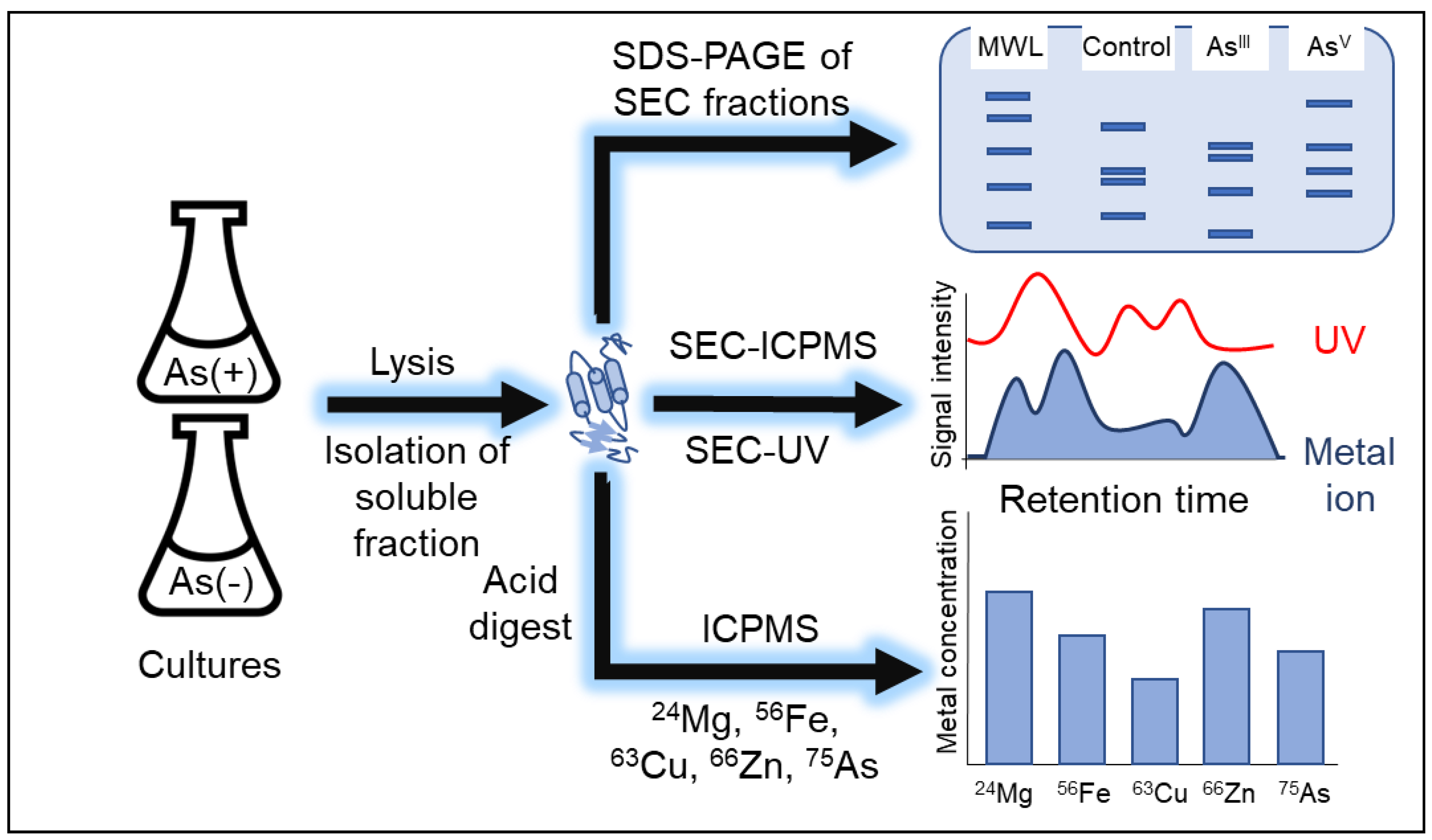 Microorganisms 11 00382 g001