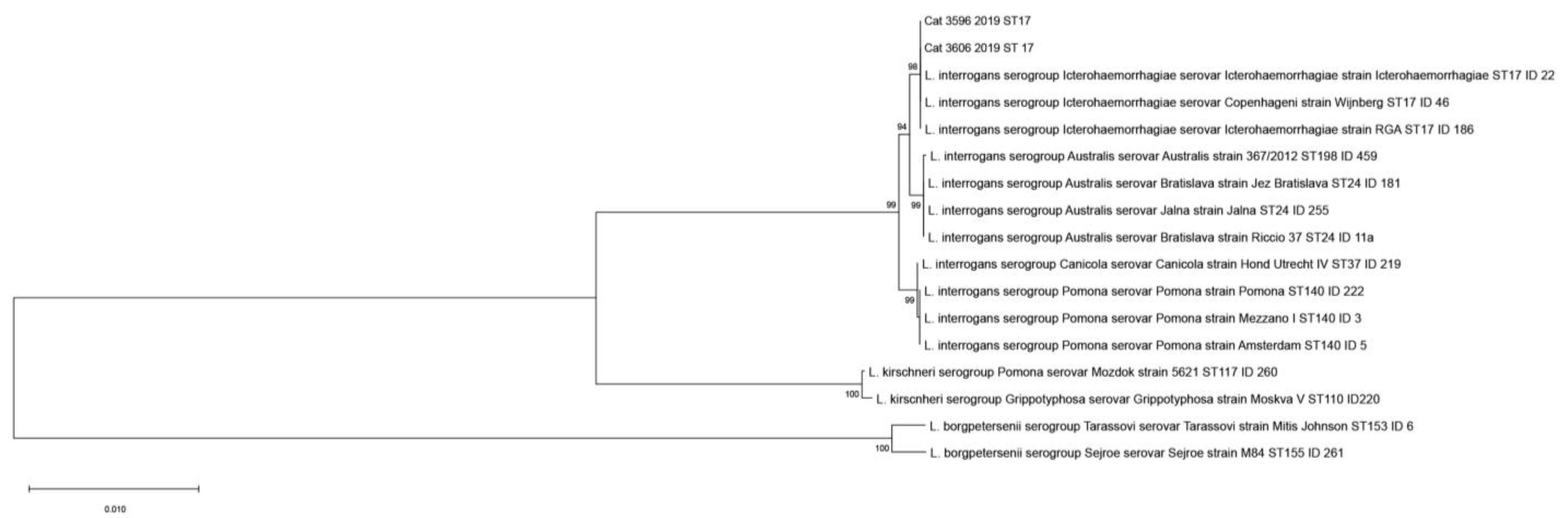 Microorganisms 11 00385 g001