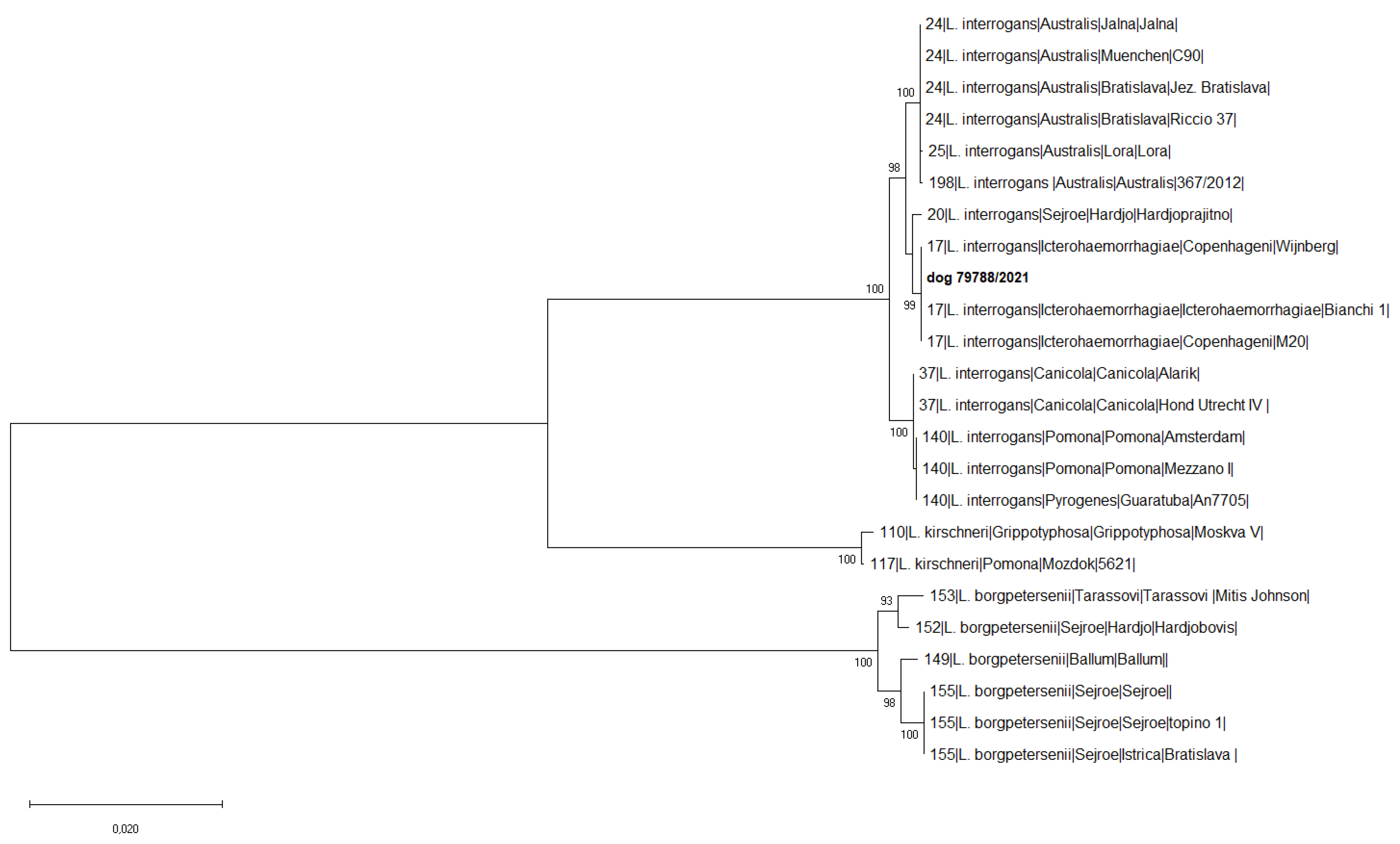 Microorganisms 11 00385 g002