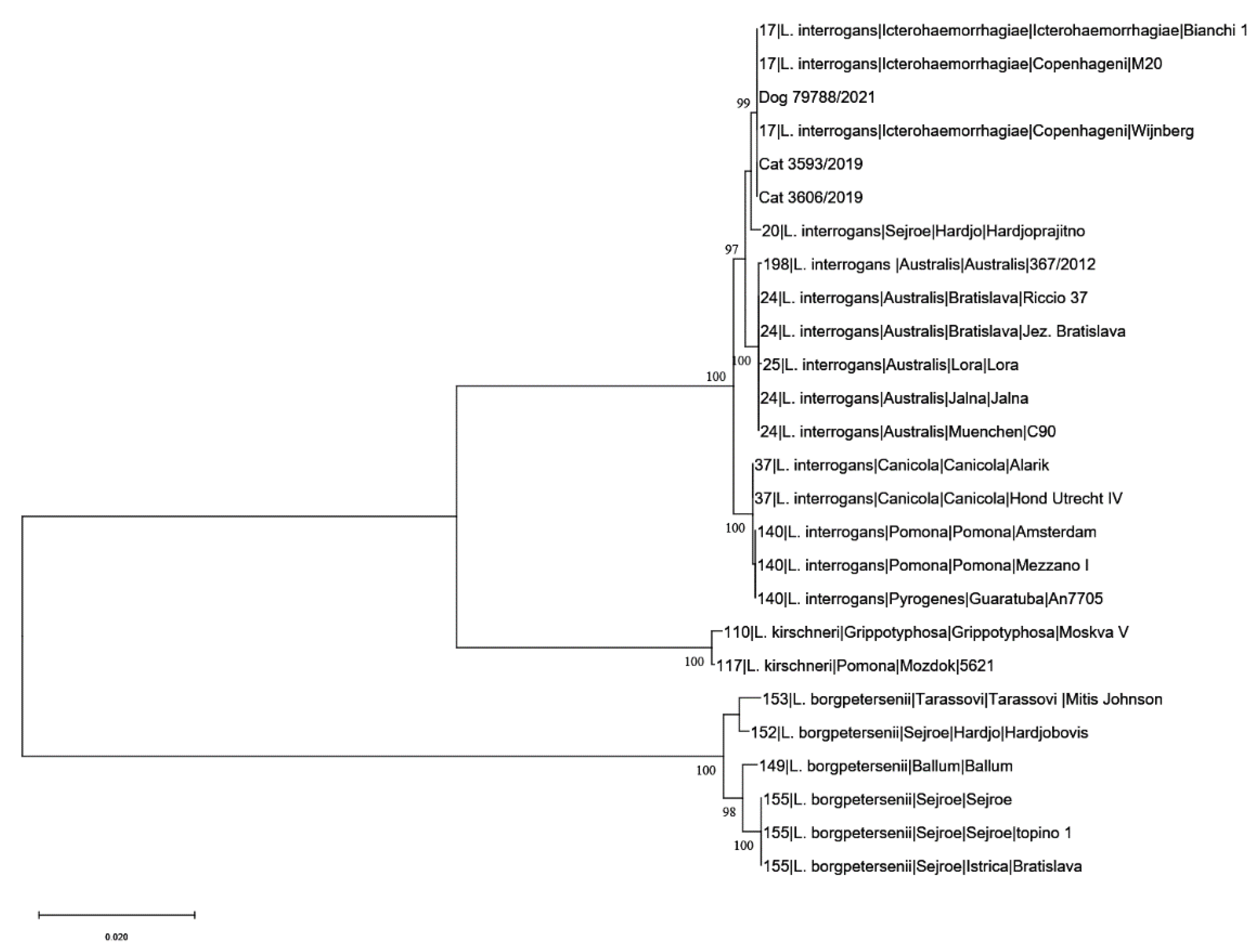 Microorganisms 11 00385 g003