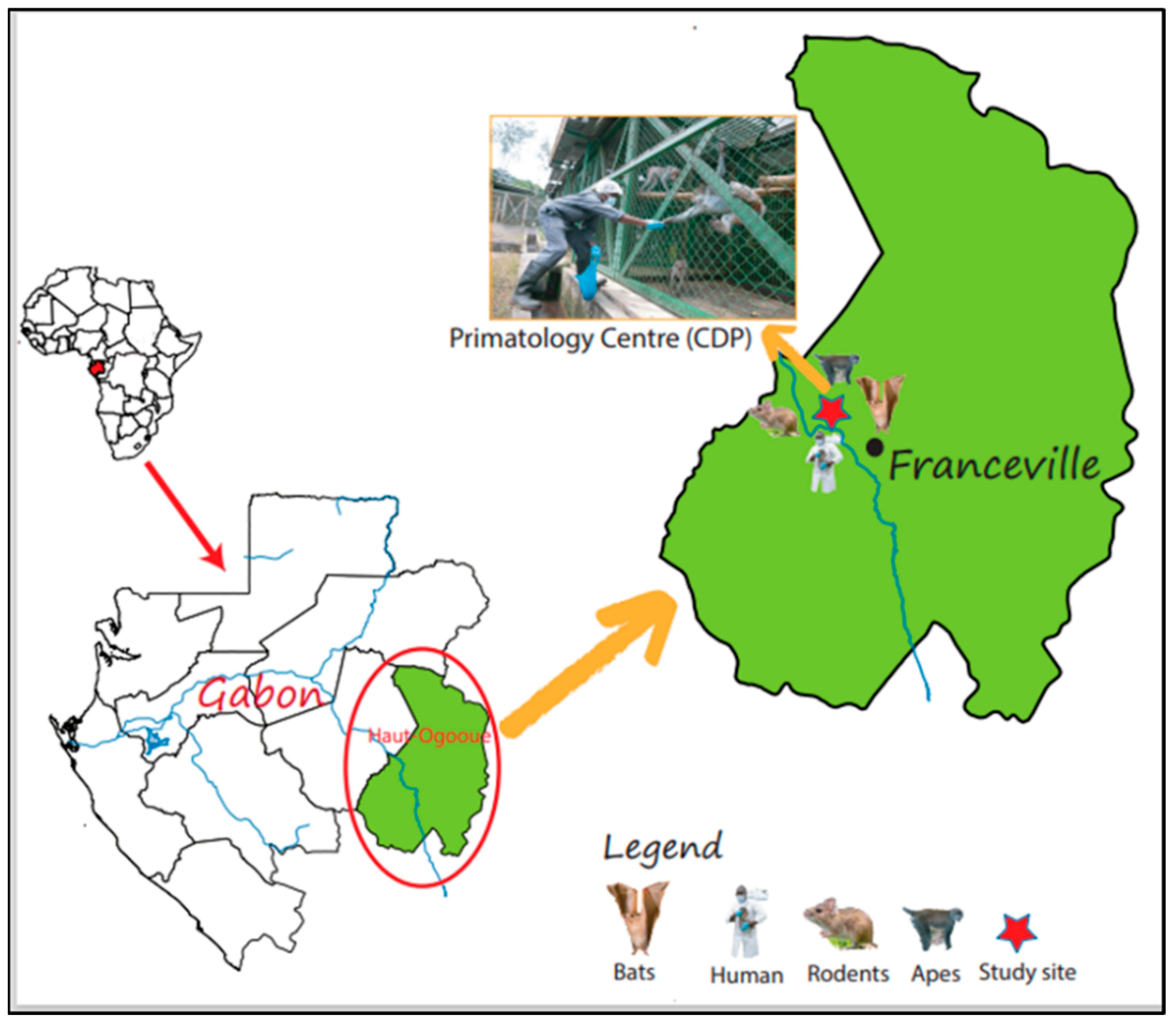 Microorganisms 11 00393 g001