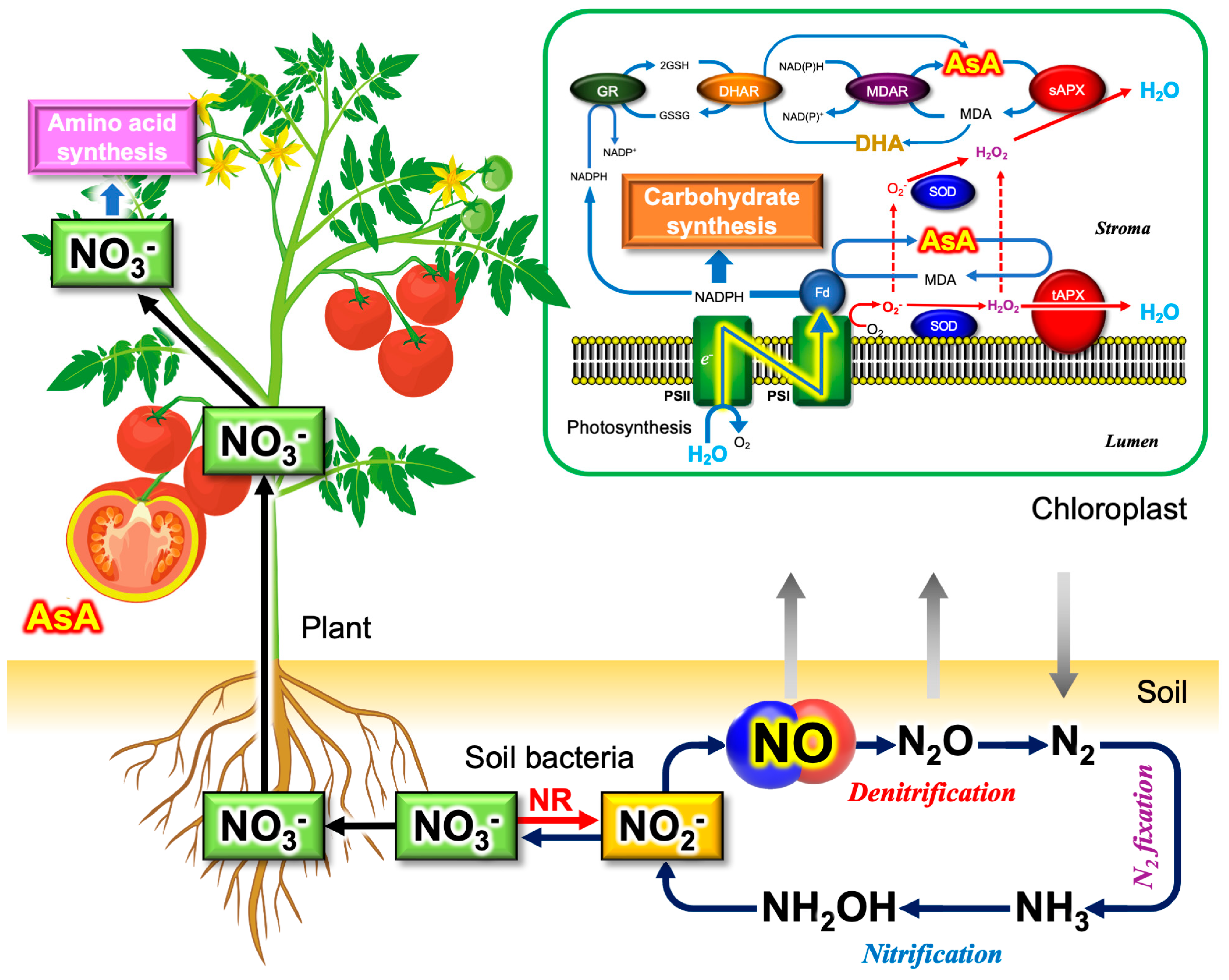 Microorganisms 11 00397 g003 Microorganisms 11 00397 g003