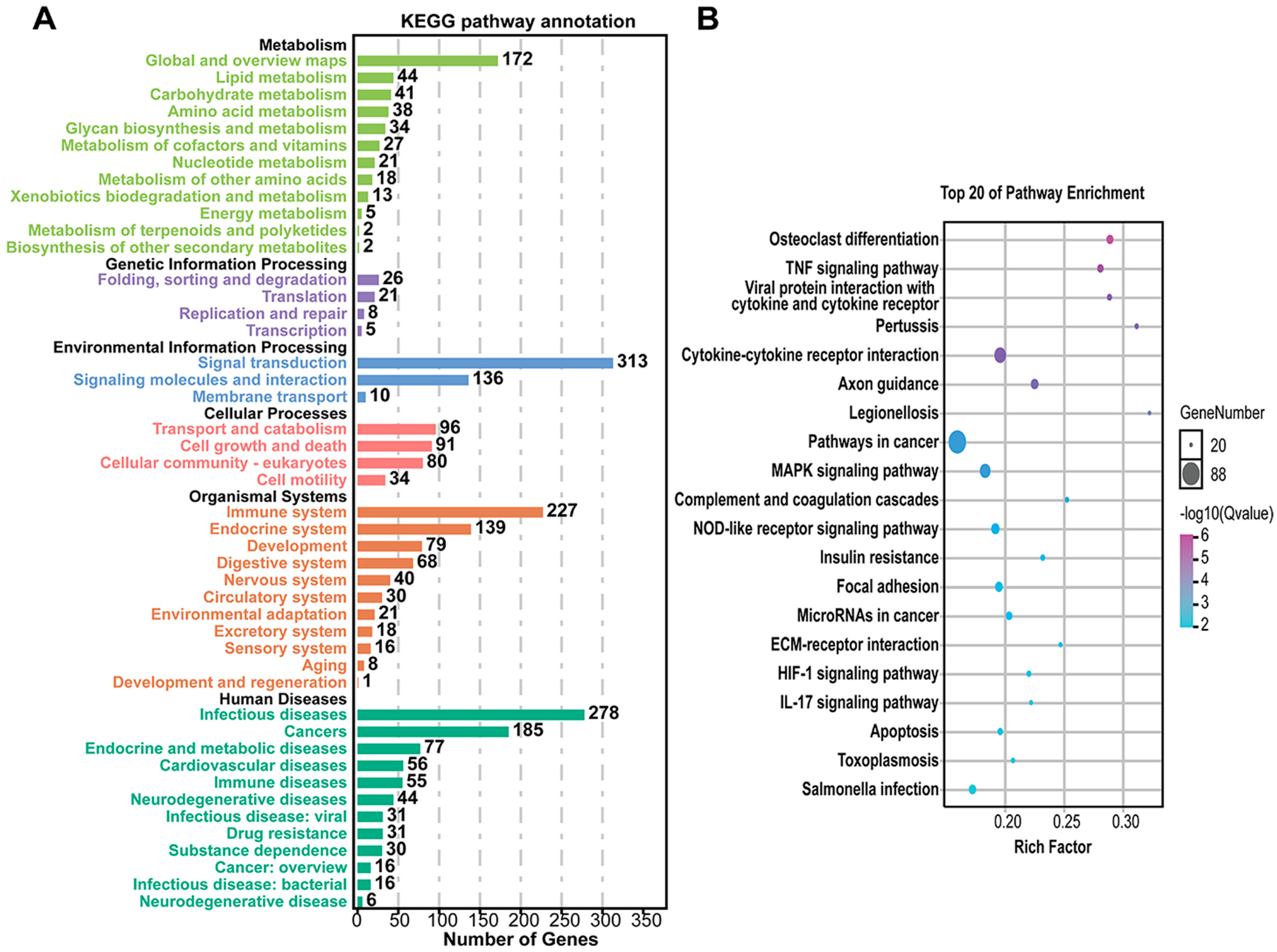 Microorganisms 11 00400 g004
