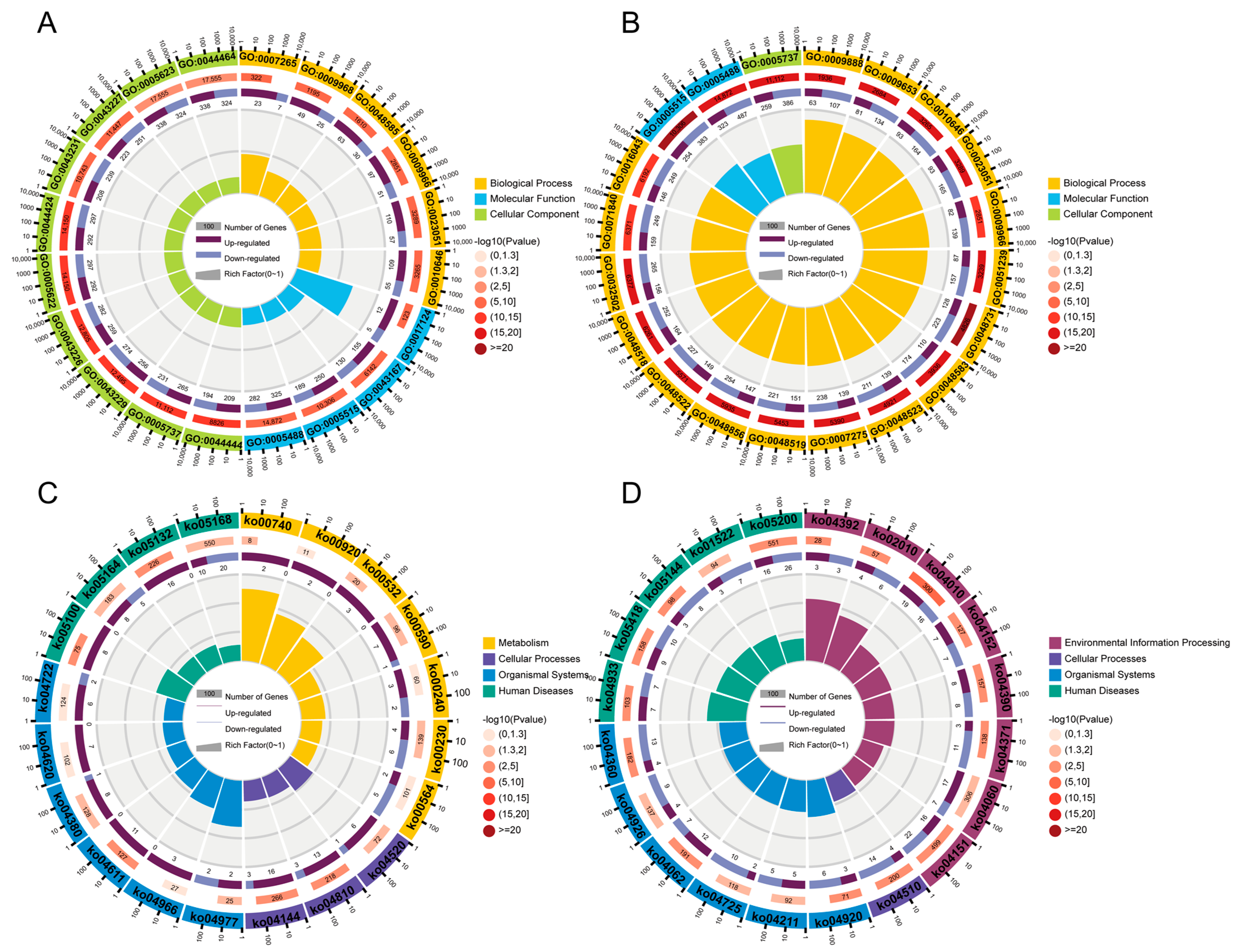 Microorganisms 11 00400 g005