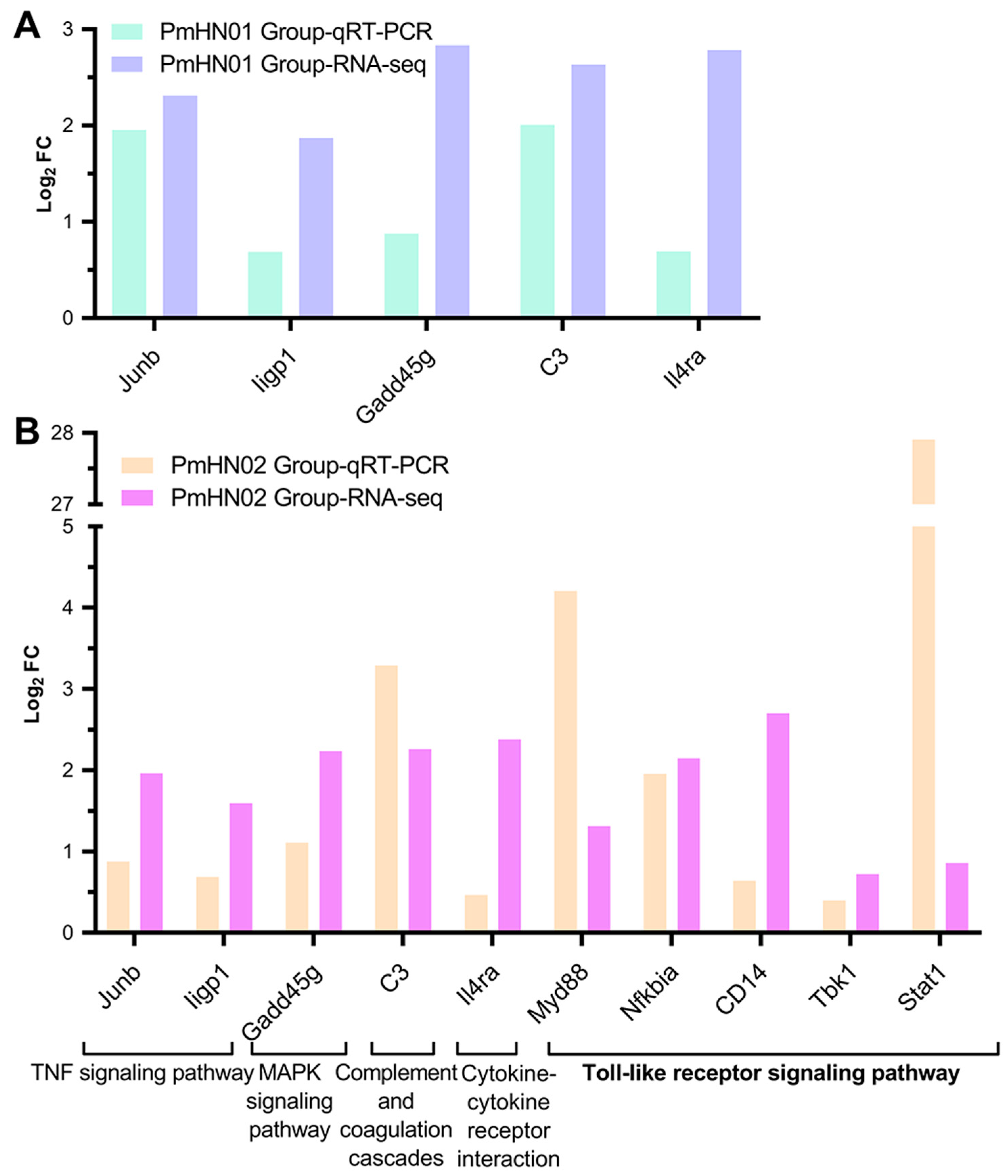 Microorganisms 11 00400 g008
