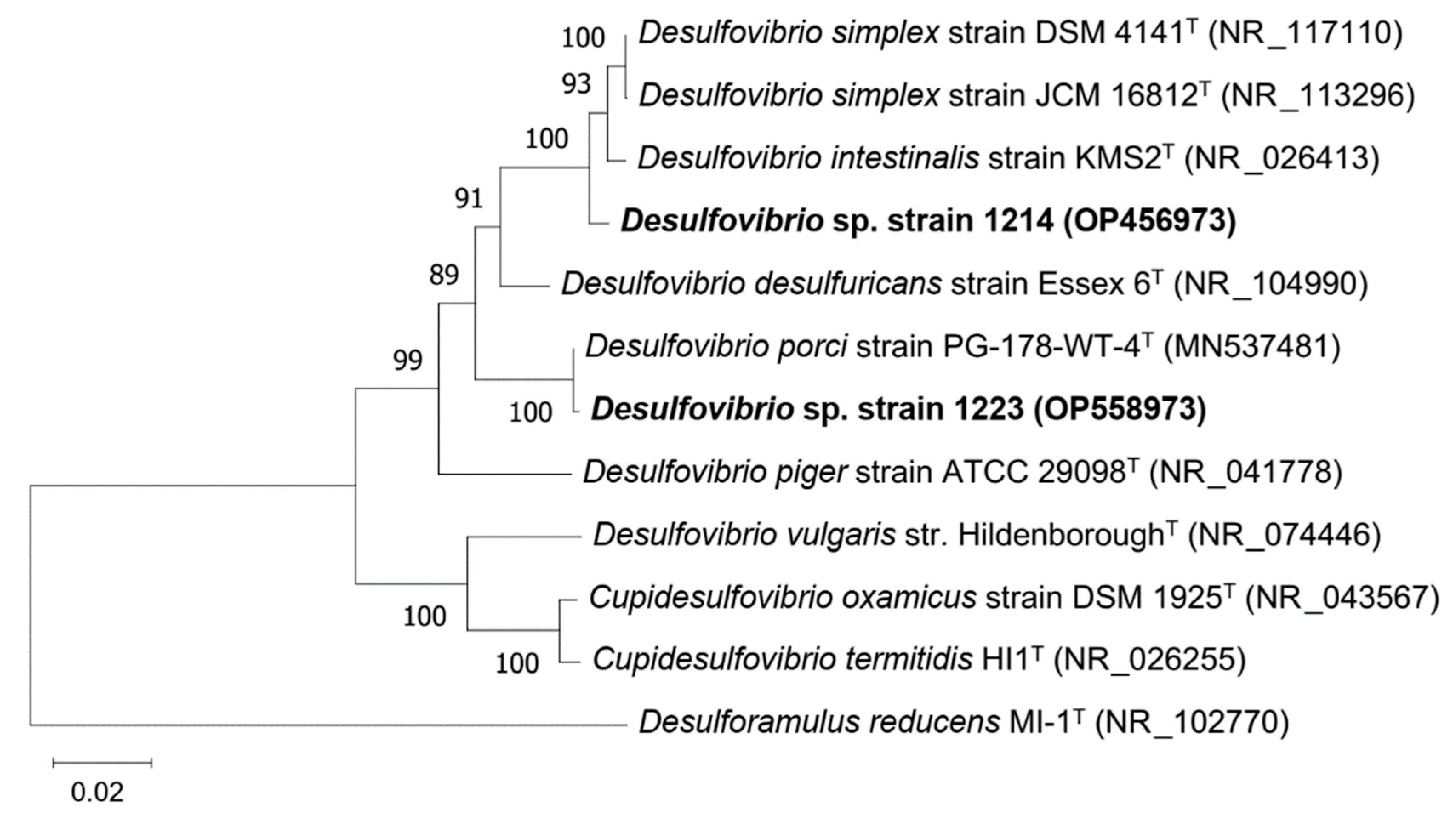 Microorganisms 11 00401 g006 Microorganisms 11 00401 g006
