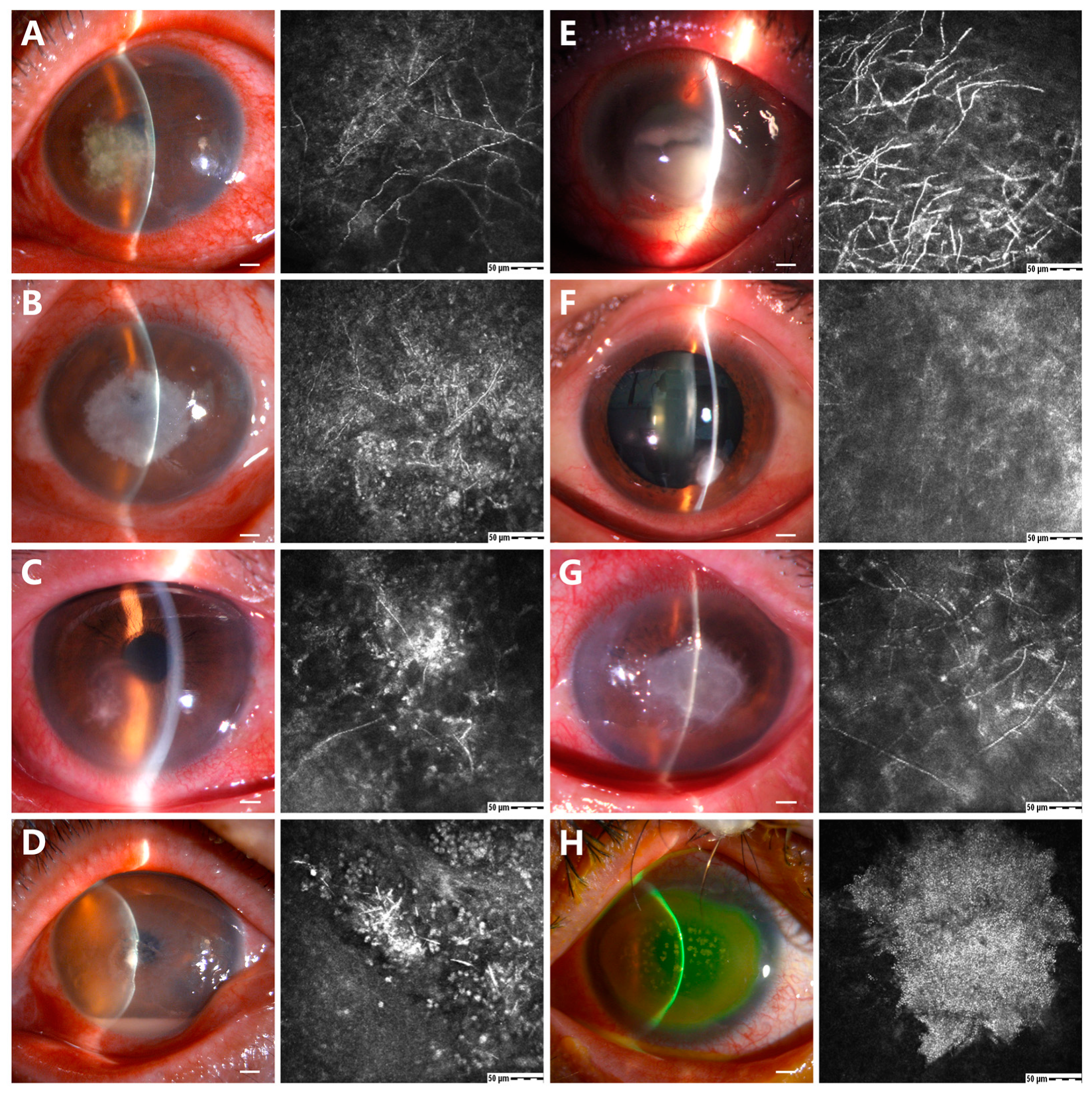 Microorganisms 11 00406 g003
