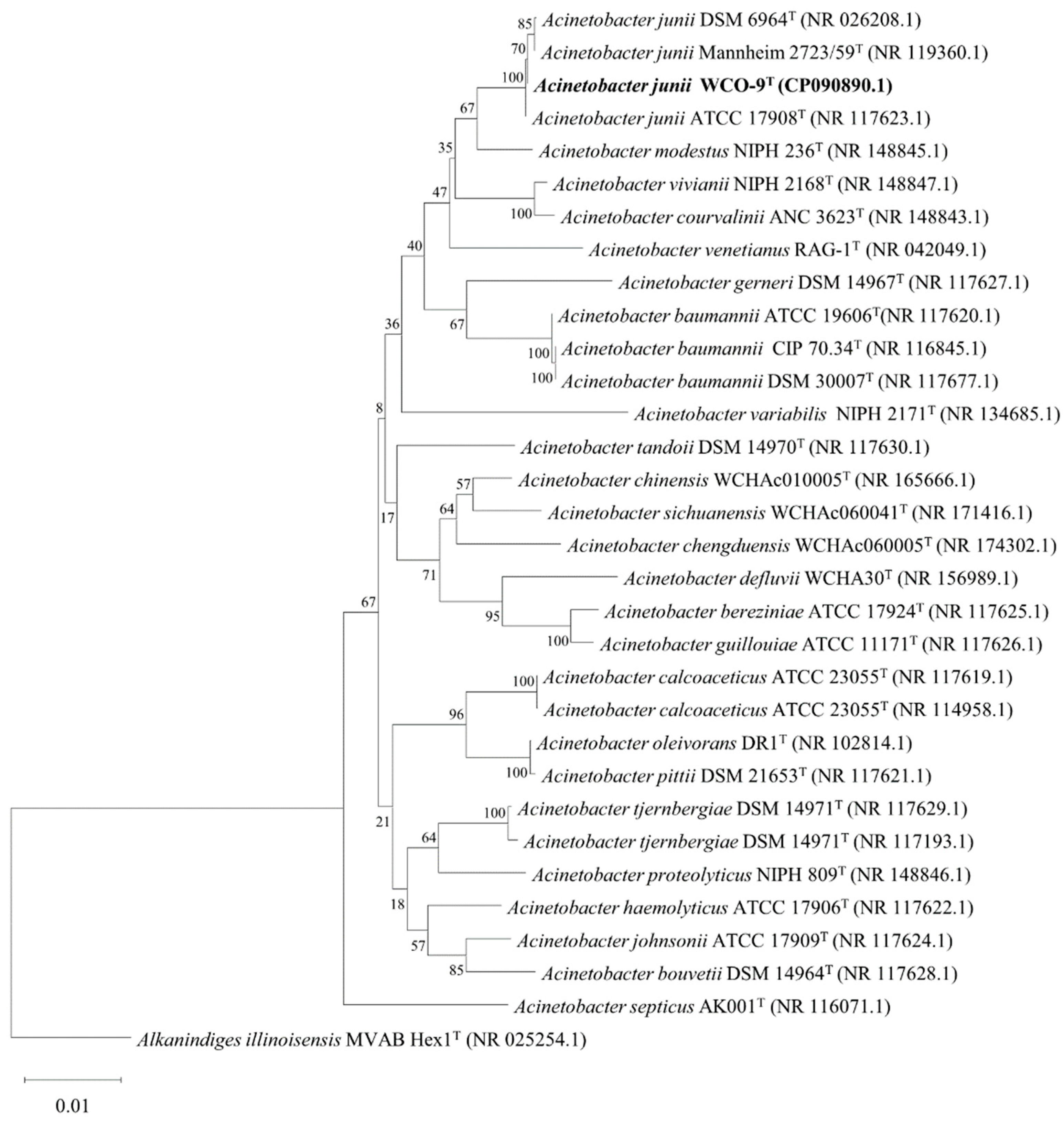 Microorganisms 11 00407 g002