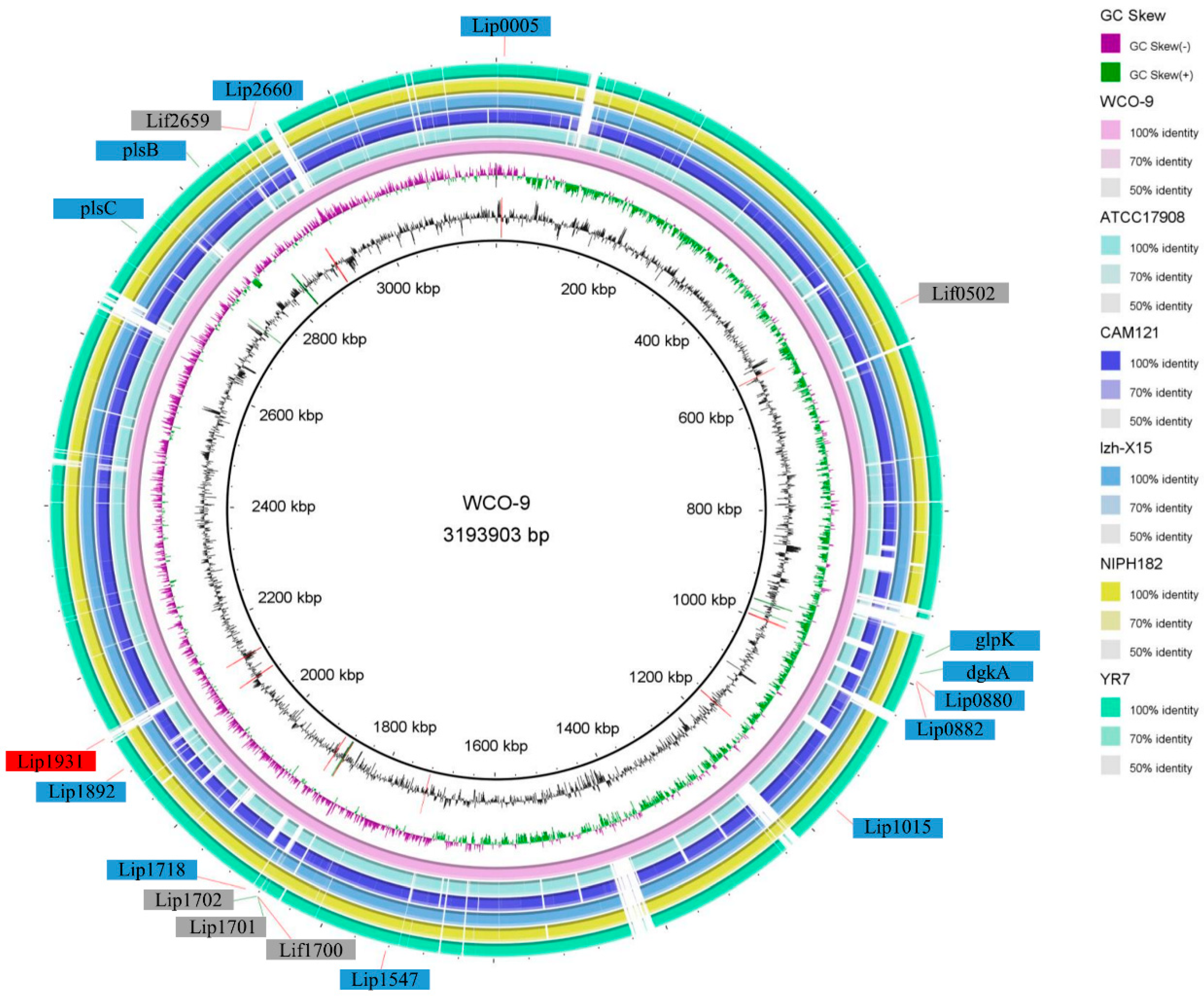 Microorganisms 11 00407 g006