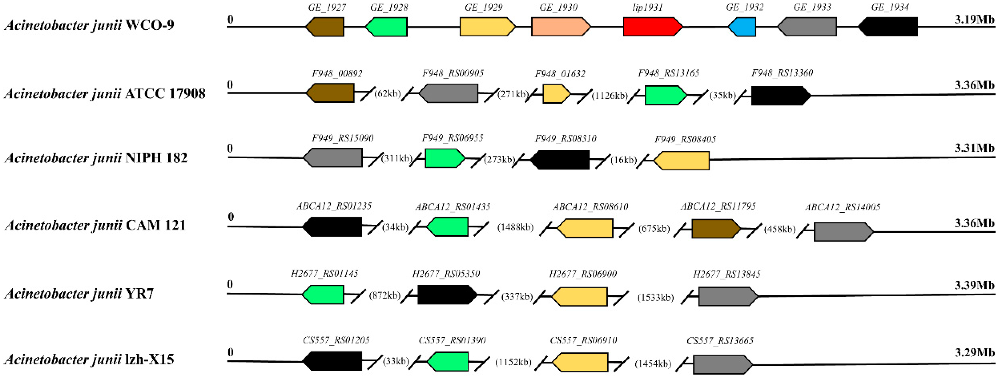 Microorganisms 11 00407 g007
