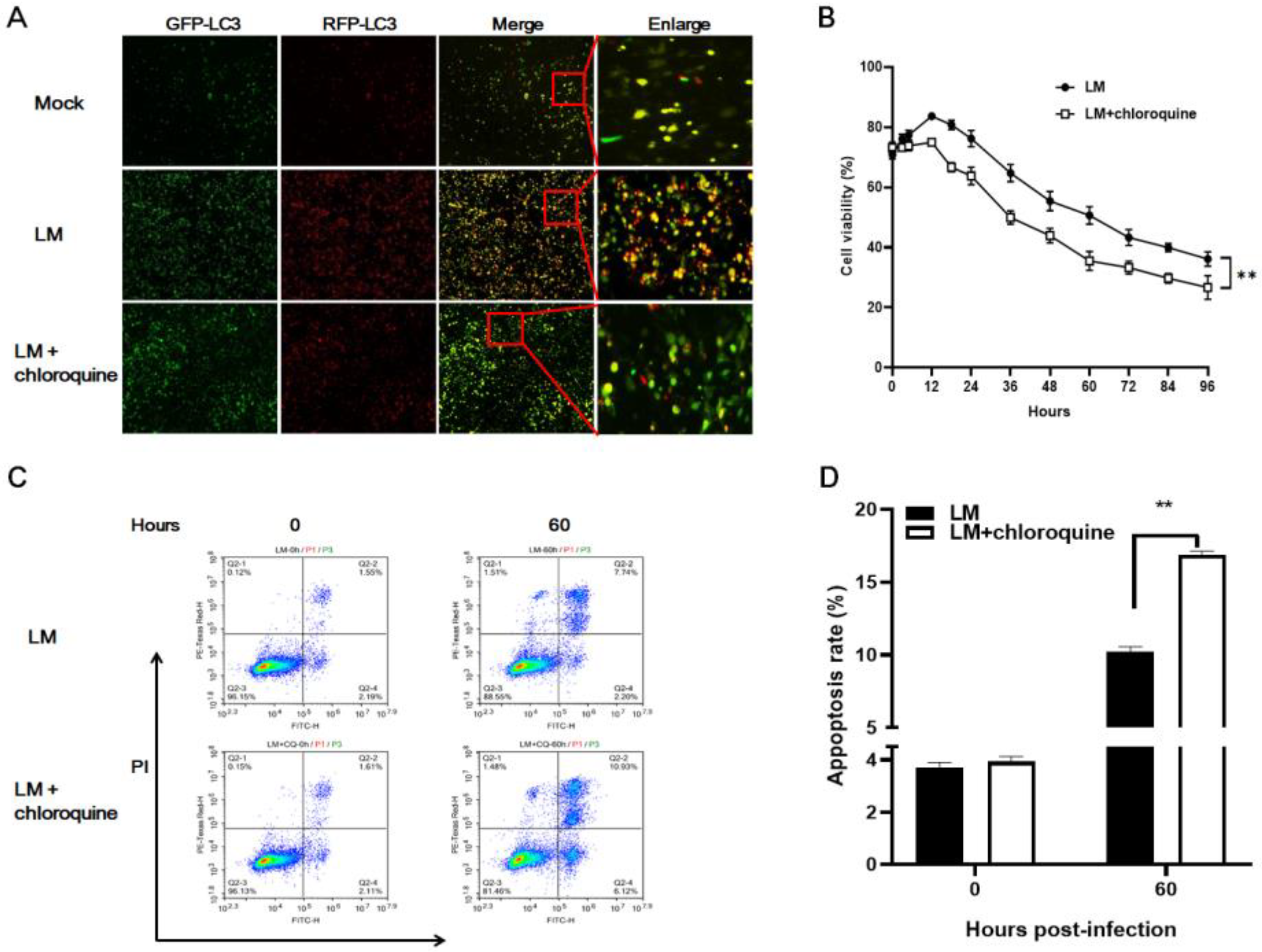 Microorganisms 11 00408 g002