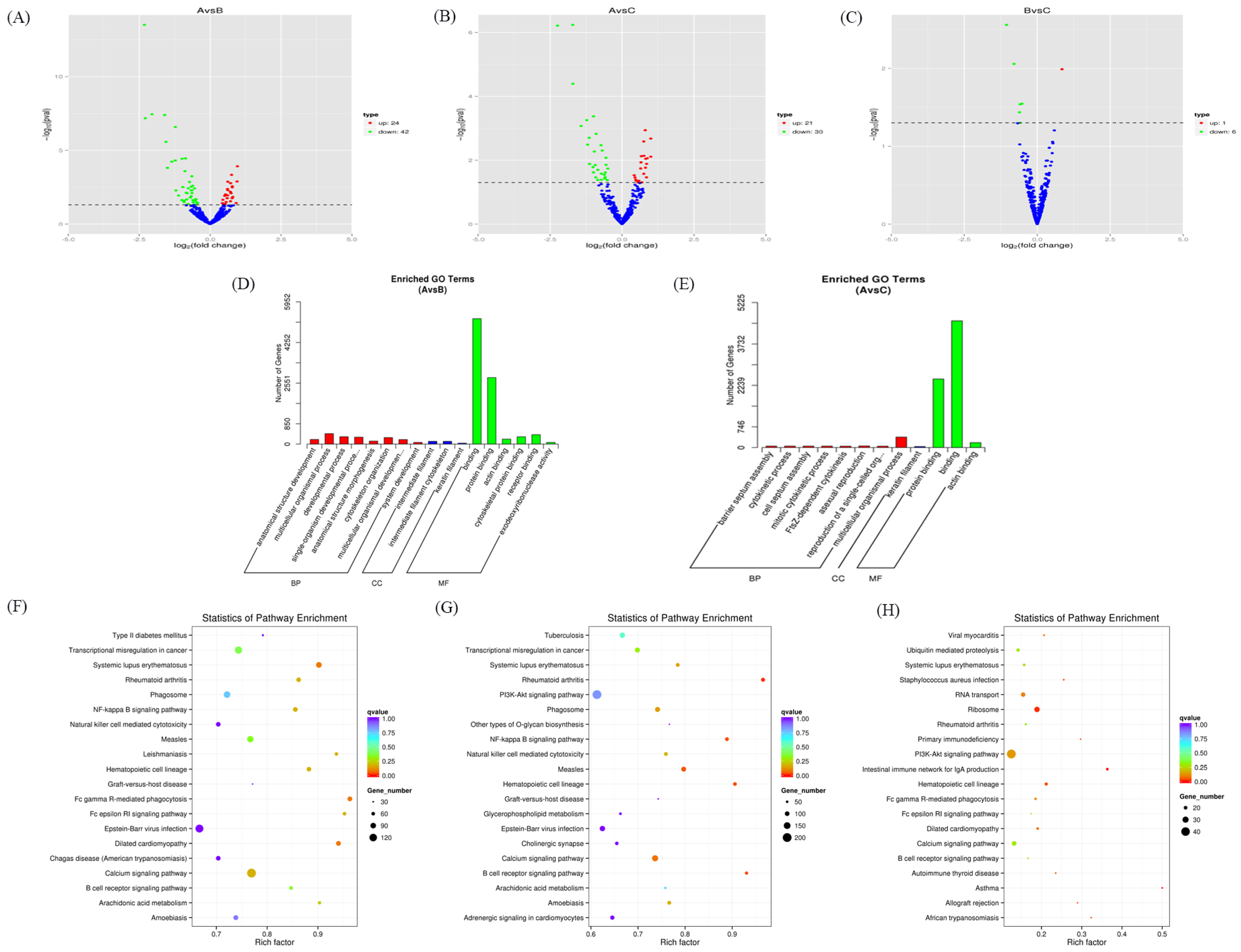 Microorganisms 11 00409 g002