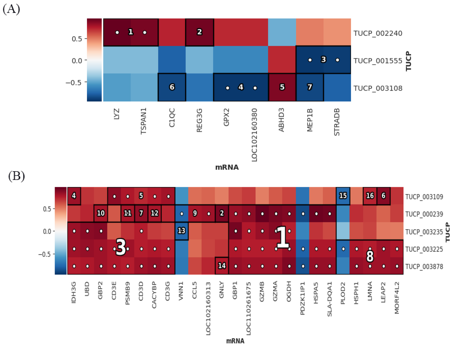 Microorganisms 11 00409 g009