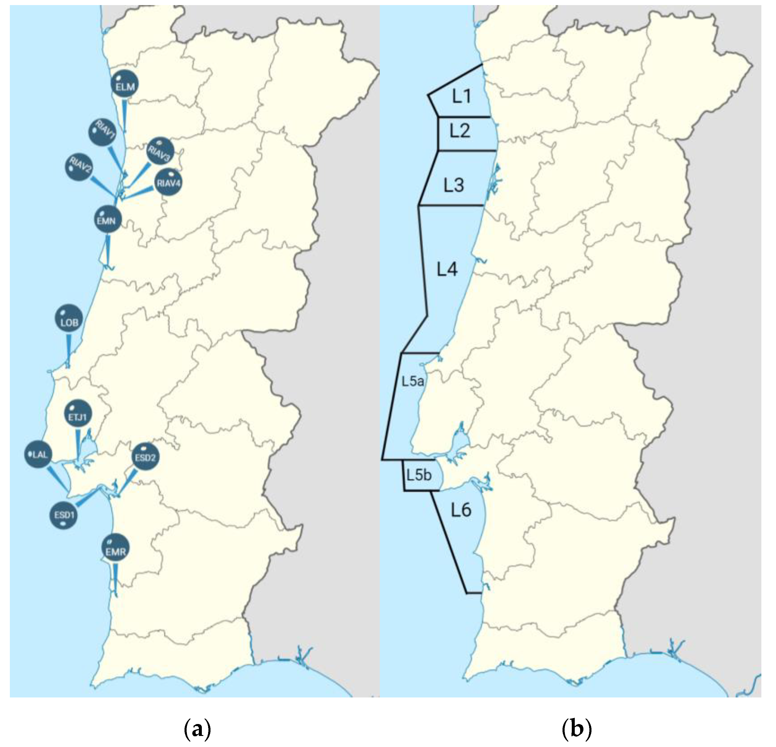 Microorganisms 11 00415 g001