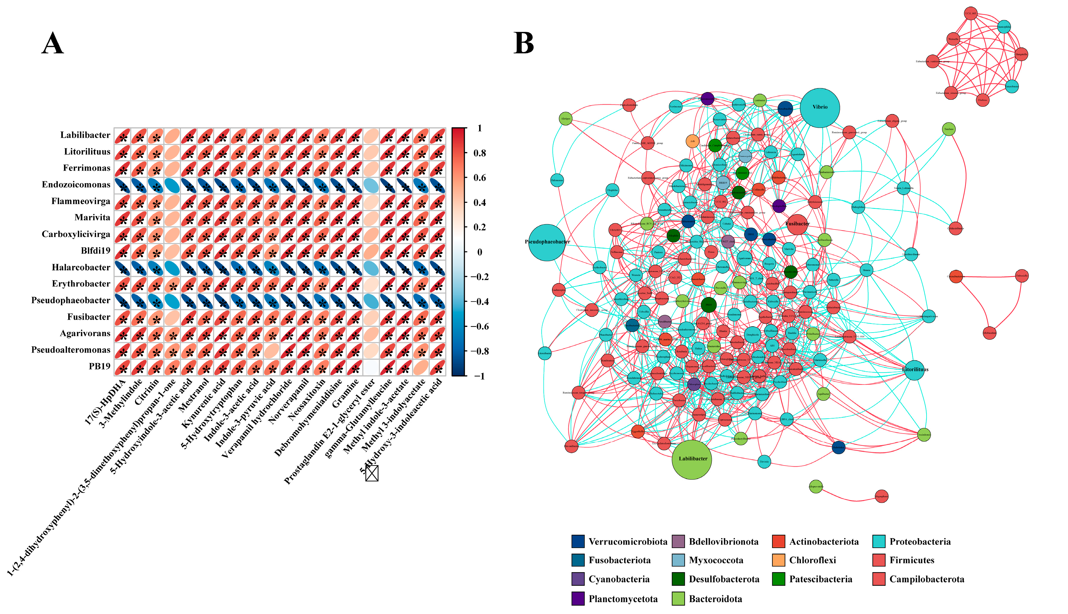 Microorganisms 11 00416 g006 Microorganisms 11 00416 g006