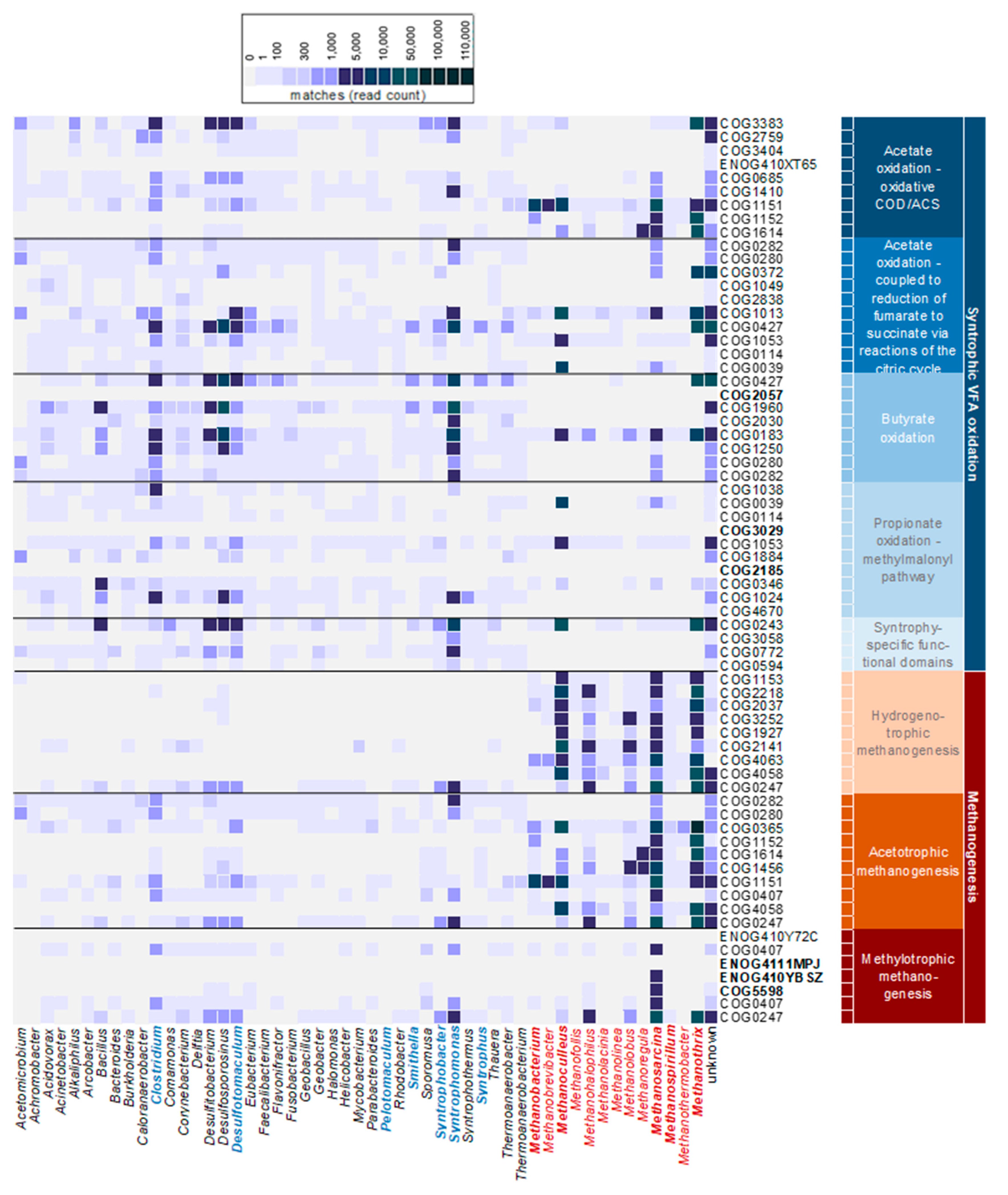 Microorganisms 11 00420 g002 Microorganisms 11 00420 g002