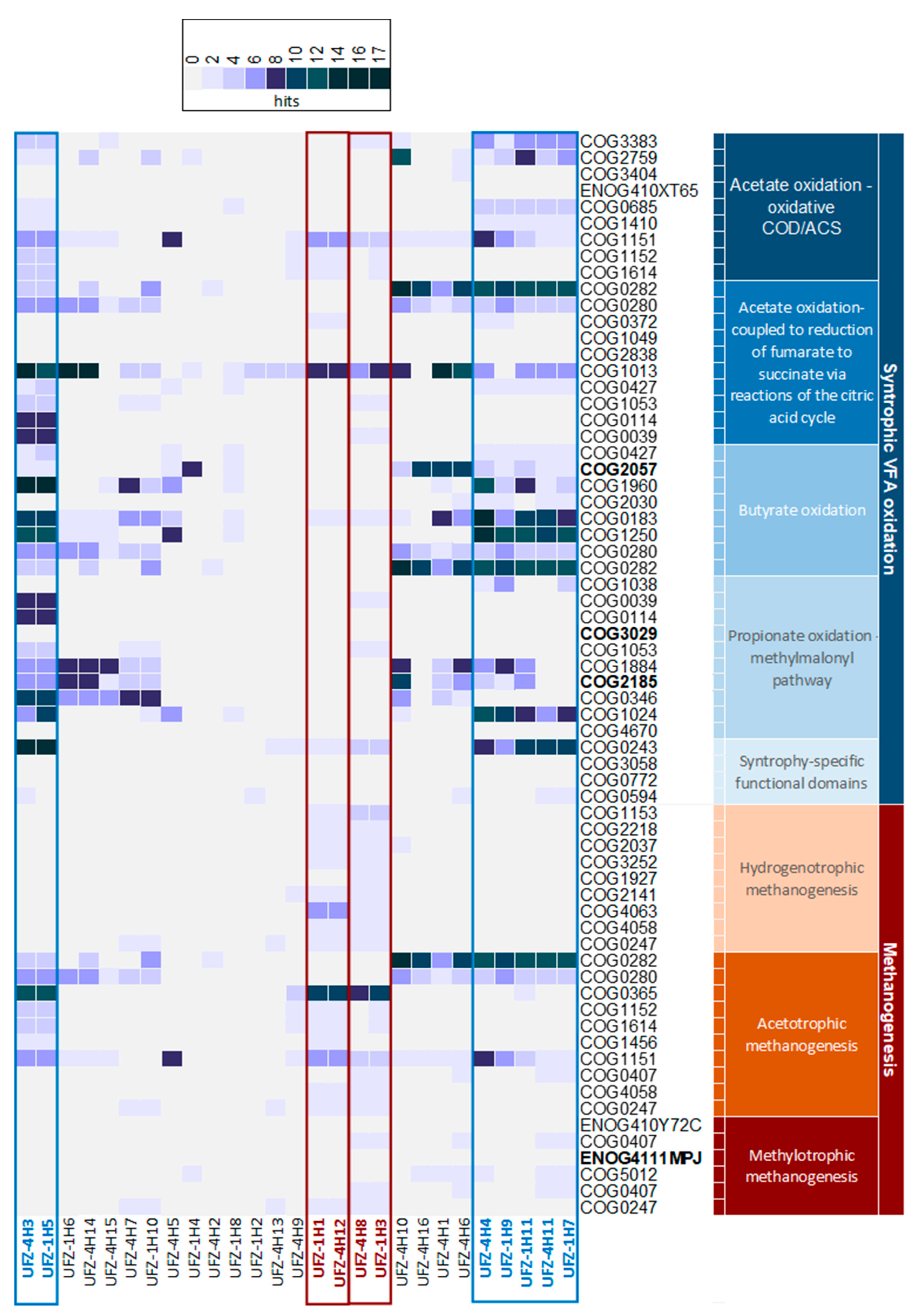 Microorganisms 11 00420 g003 Microorganisms 11 00420 g003